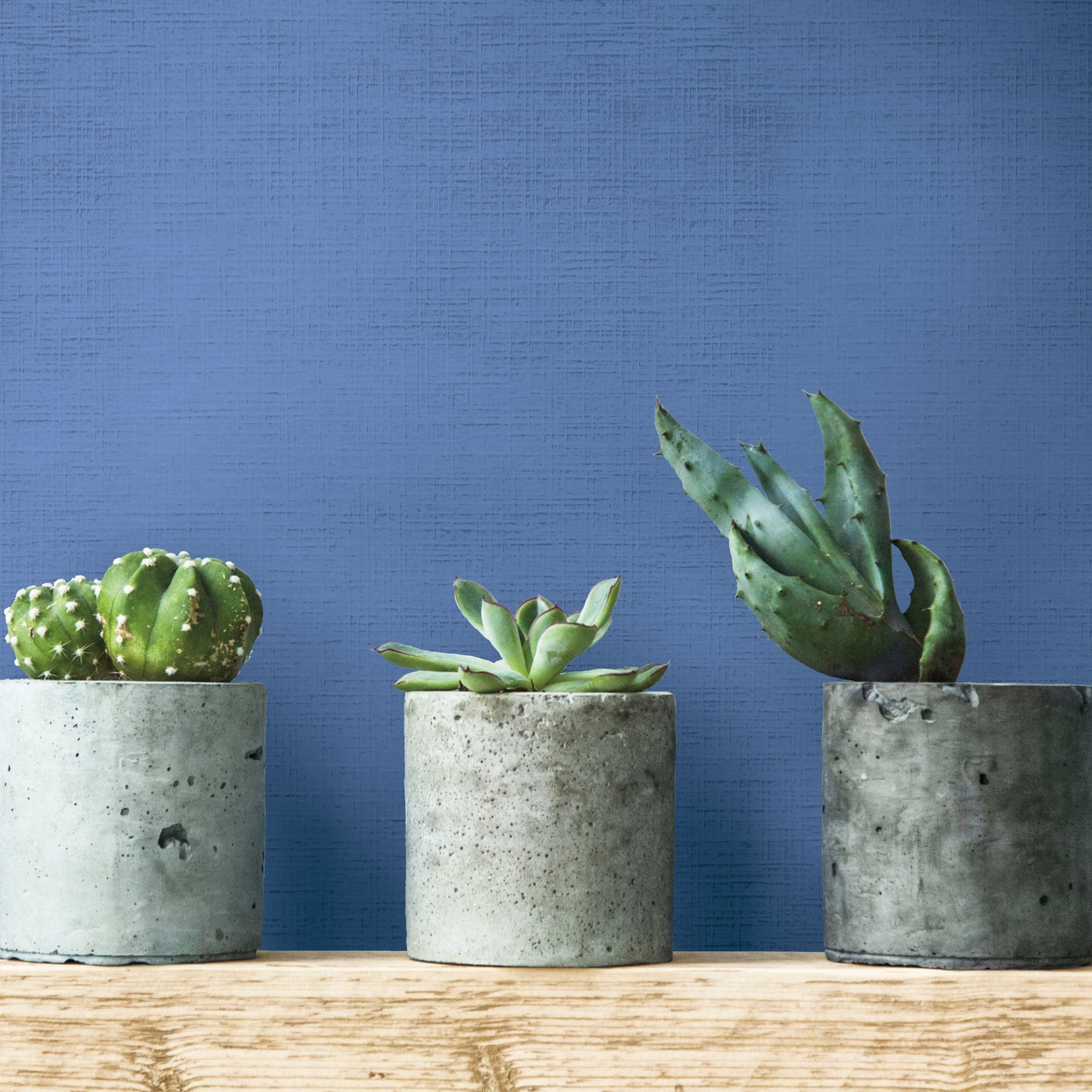 York Wallcoverings York Wallcoverings Linen Crosshatch Paintable White Wallpaper Textures Whites and Off-Whites - PT9864