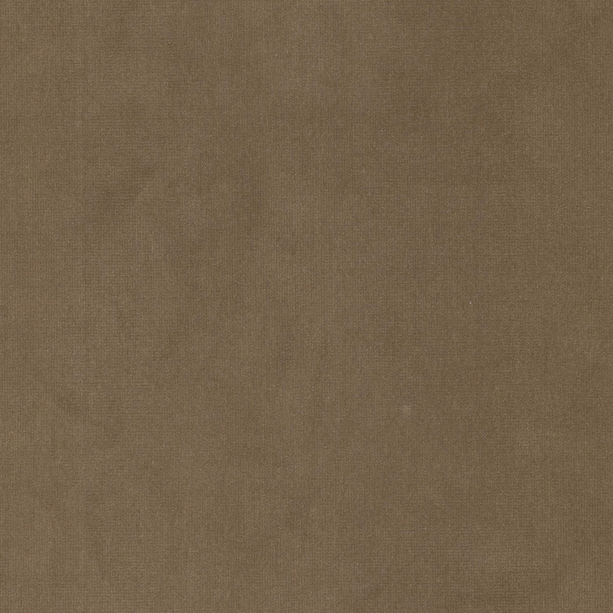 STOUT TEXTILES UPHOLSTERY,VELVET TRADITIONAL, SOLID LION - QUEE-1