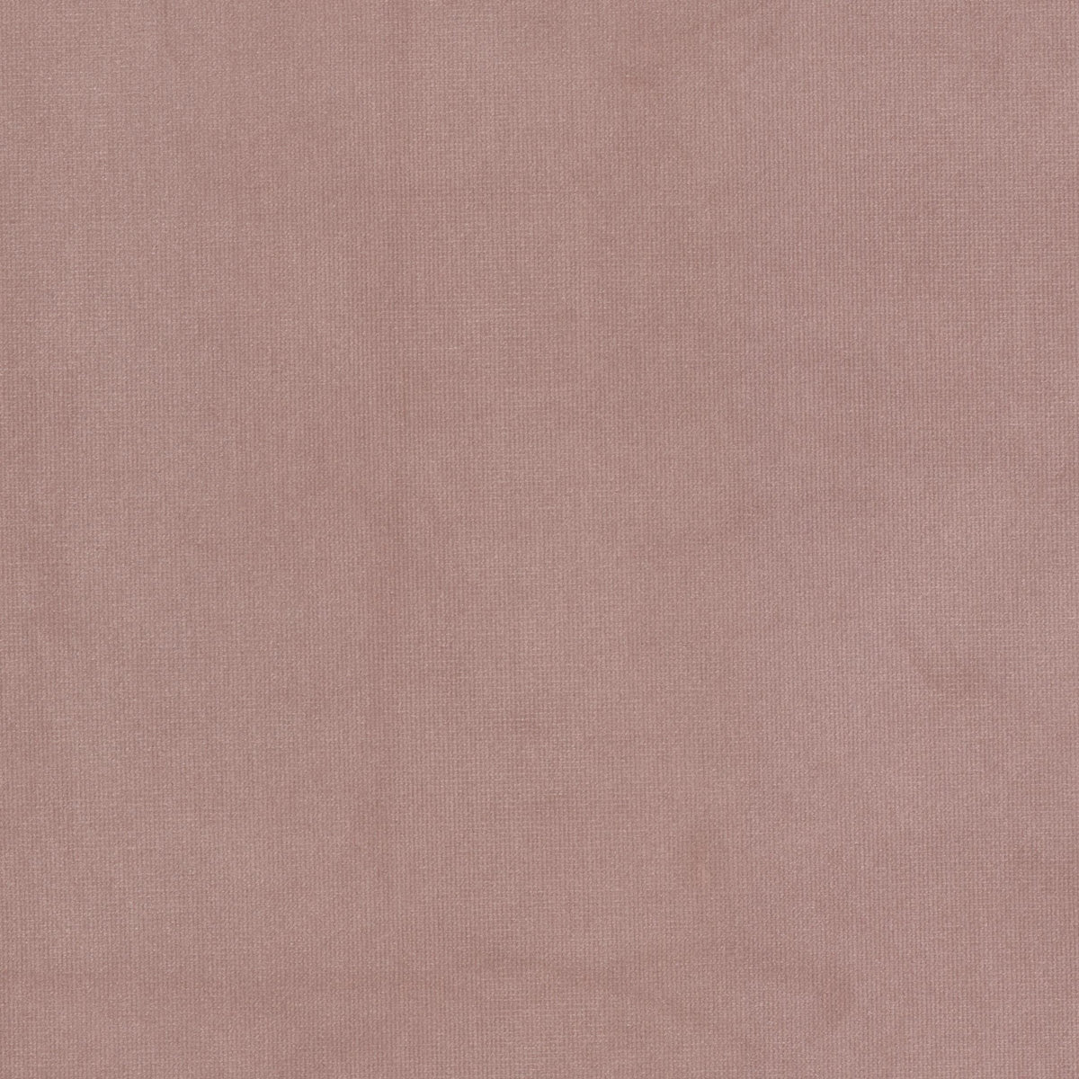 STOUT TEXTILES UPHOLSTERY,VELVET TRADITIONAL, SOLID CAMELIA - QUEE-16