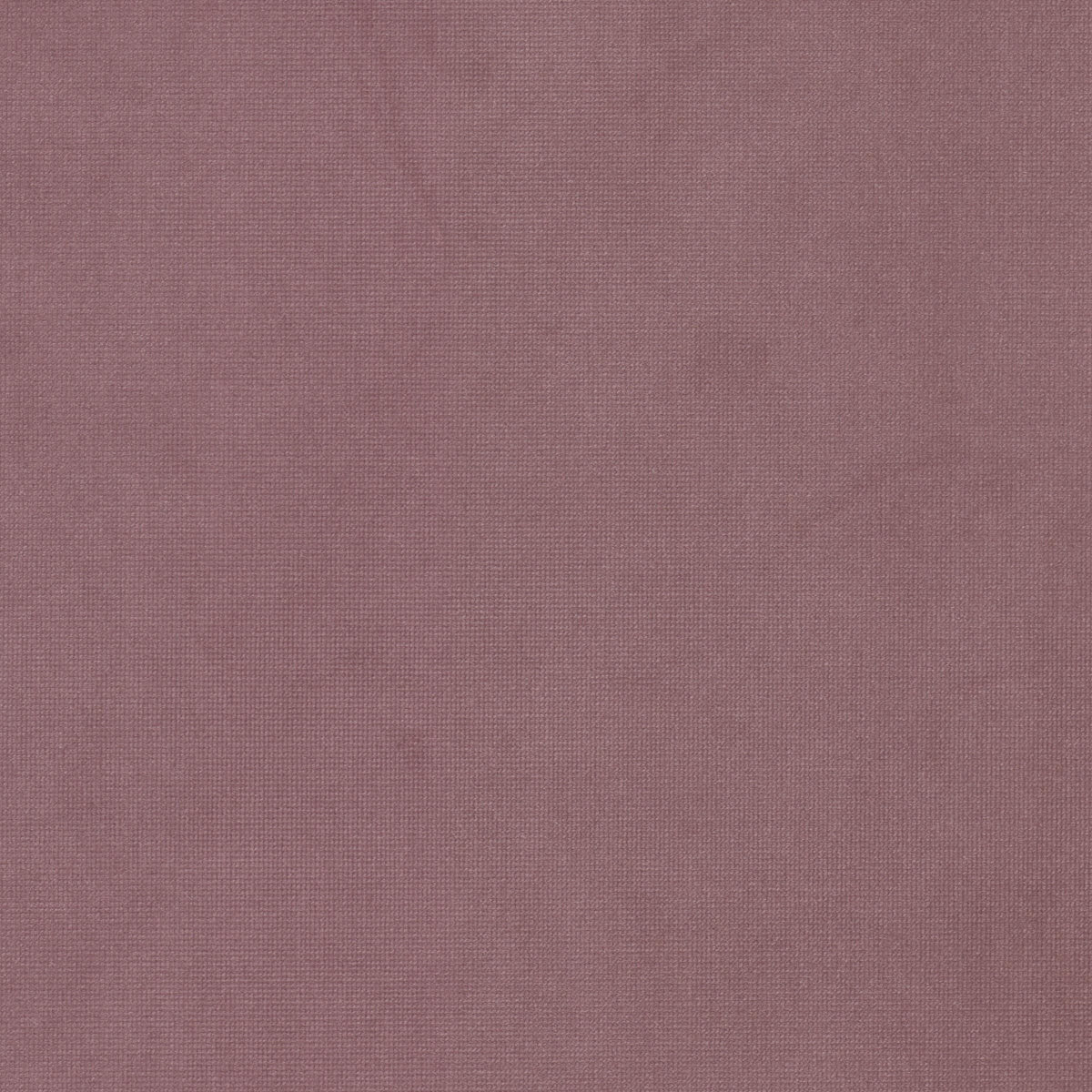 STOUT TEXTILES UPHOLSTERY,VELVET TRADITIONAL, SOLID FUSCHIA - QUEE-17