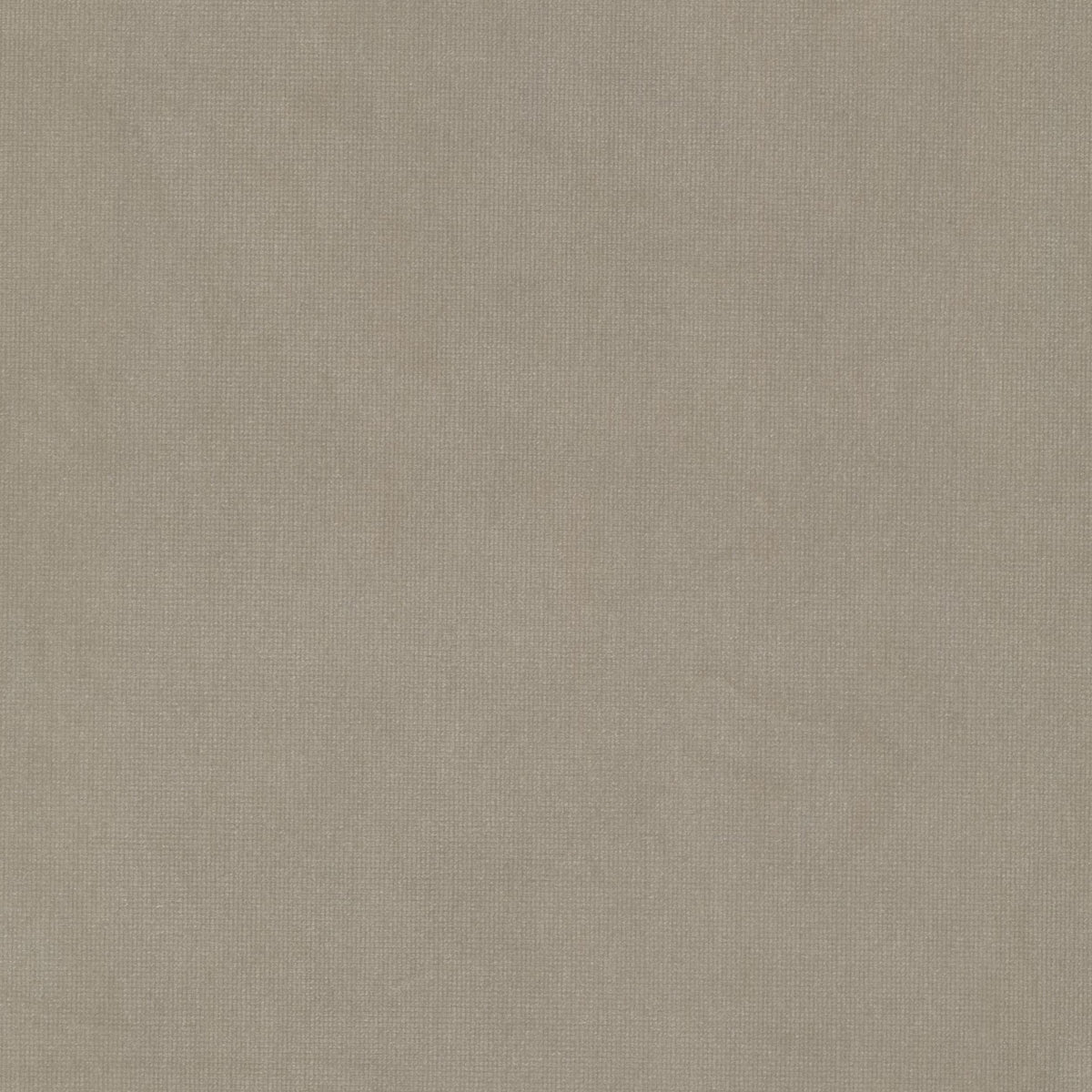 STOUT TEXTILES UPHOLSTERY,VELVET TRADITIONAL, SOLID BEIGE - QUEE-23