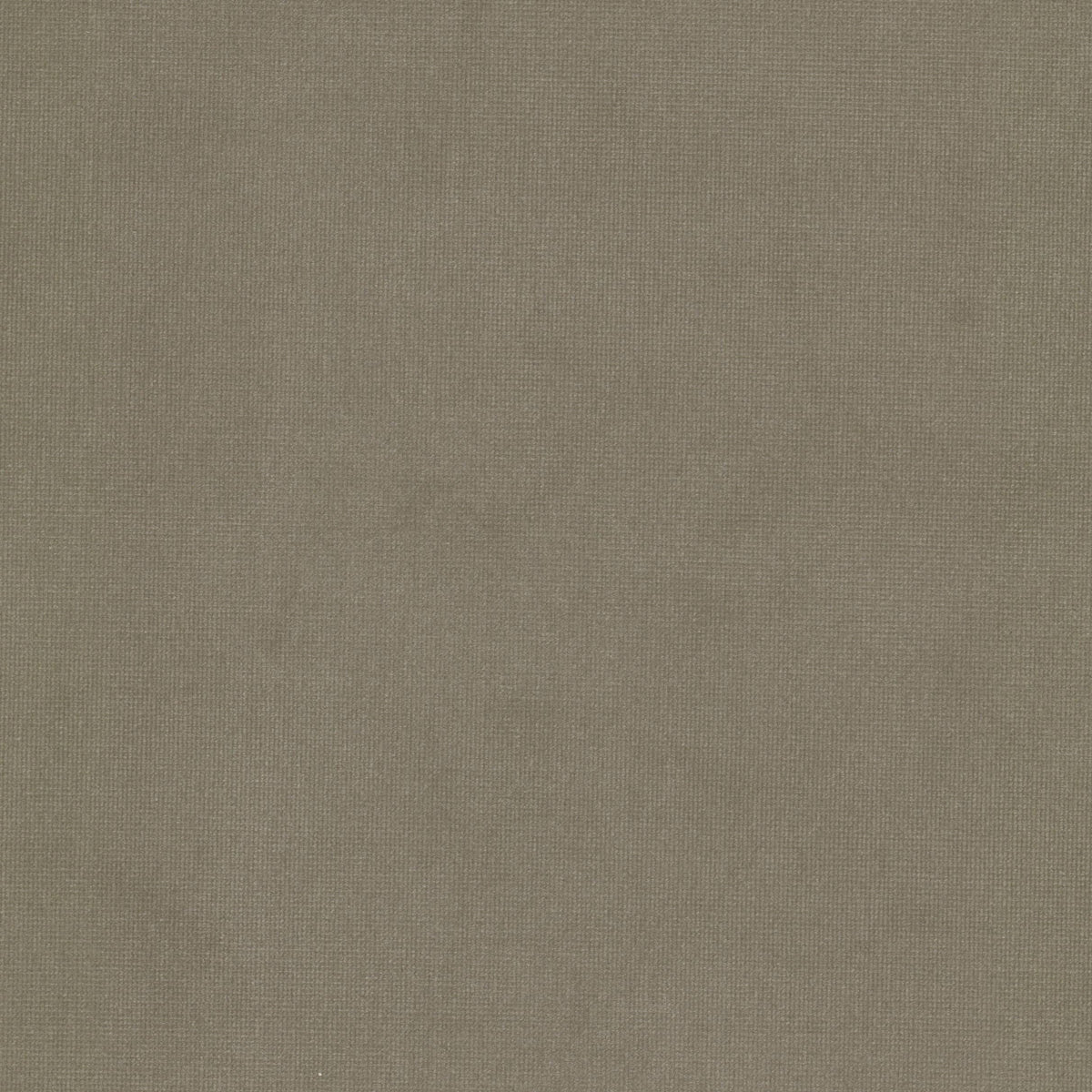 STOUT TEXTILES UPHOLSTERY,VELVET TRADITIONAL, SOLID SANDSTONE - QUEE-25