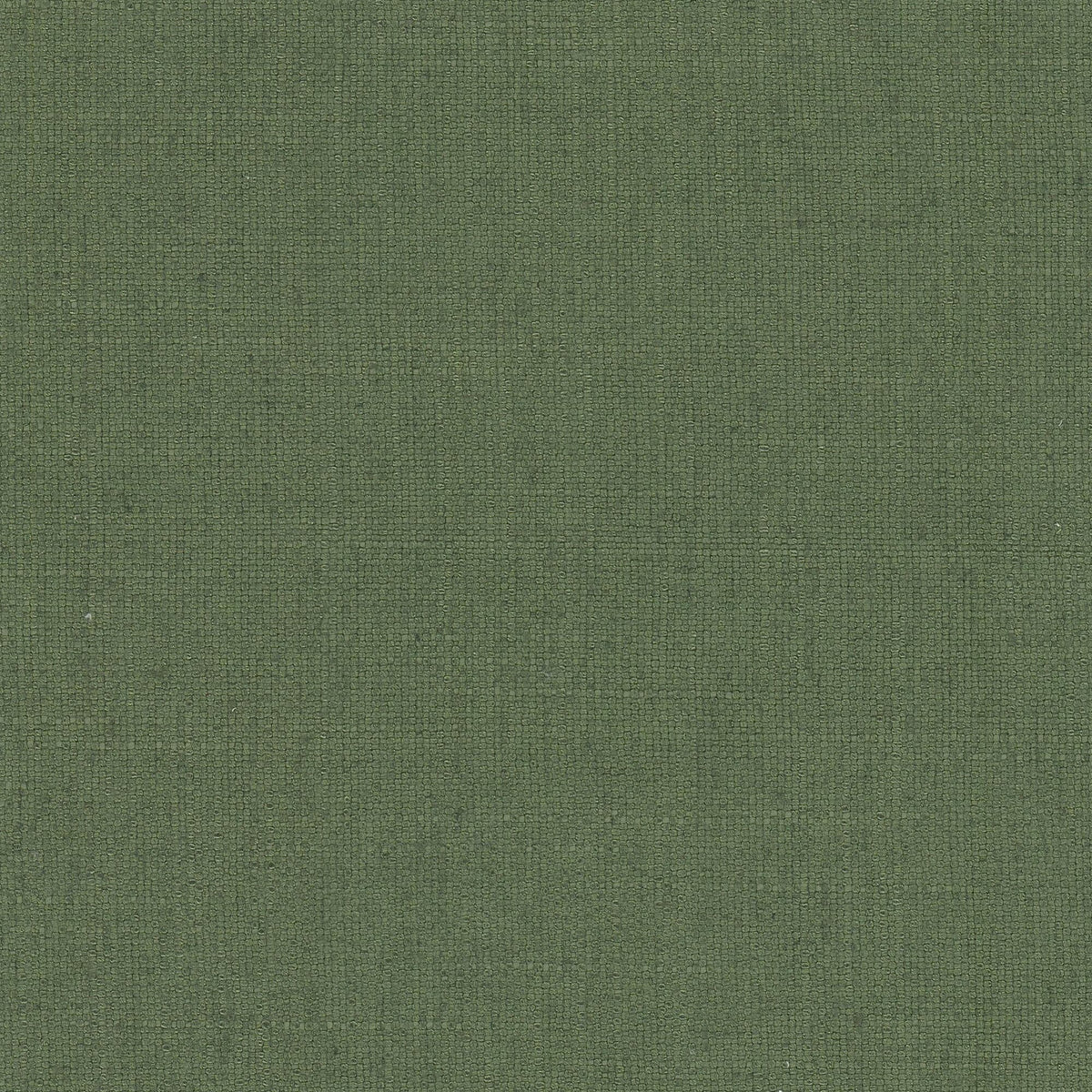 STOUT TEXTILES MULTIPURPOSE,WOVENS TRADITIONAL, SOLID BOXWOOD - RHEA-17
