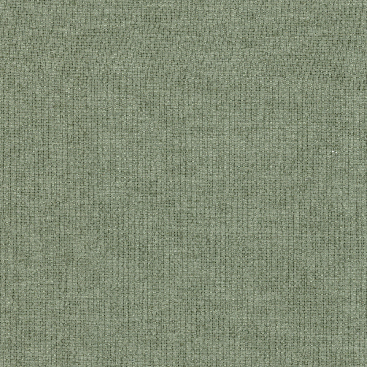 STOUT TEXTILES UPHOLSTERY,TEXTURE TRADITIONAL, SOLID CYPRESS - RIVA-2