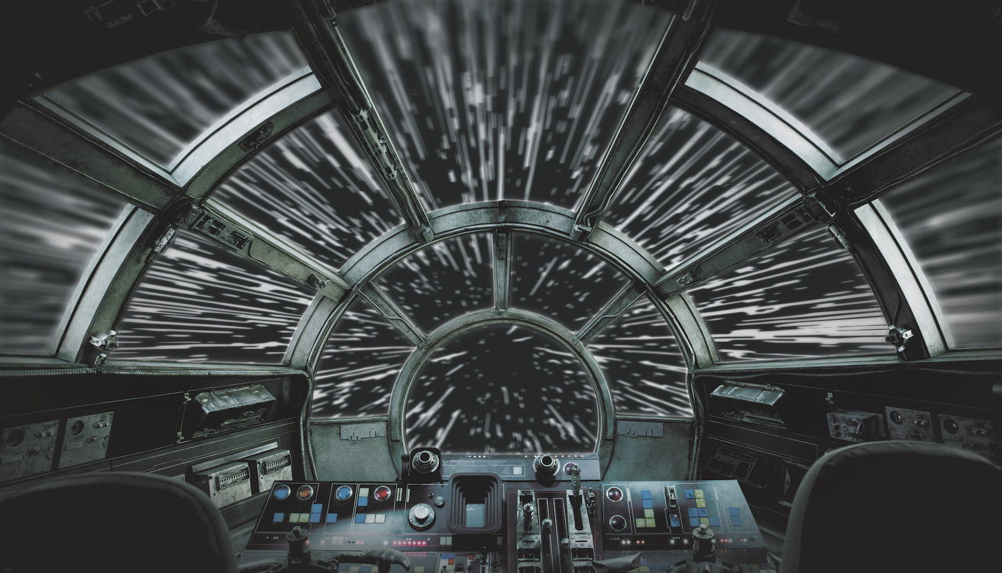 York Wallcoverings RoomMates Star Wars Millennium Falcon Peel and Stick Wall Mural Whimsical Licensed Greys Wallpaper - RMK11458M