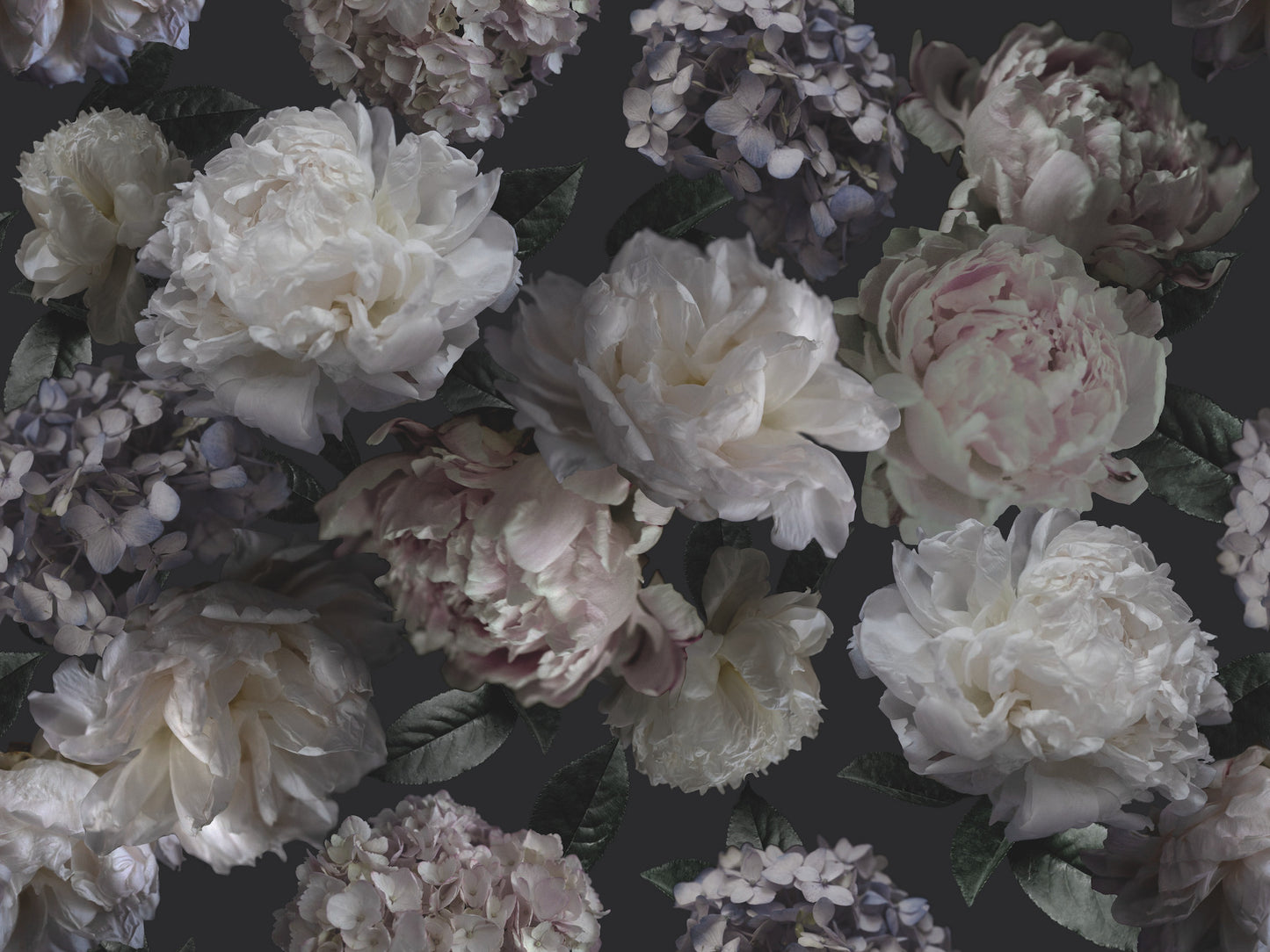 York Wallcoverings RoomMates Moonlit Garden Peel and Stick Wall Mural Whimsical Botanical Blacks Wallpaper - RMK12322M