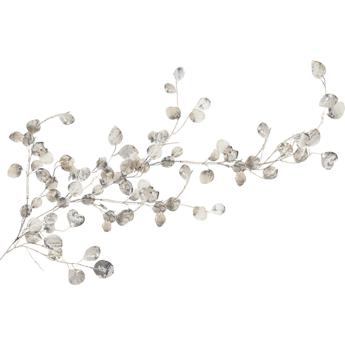 Frosted silver eucalyptus-like branch with small round leaves for winter decor.