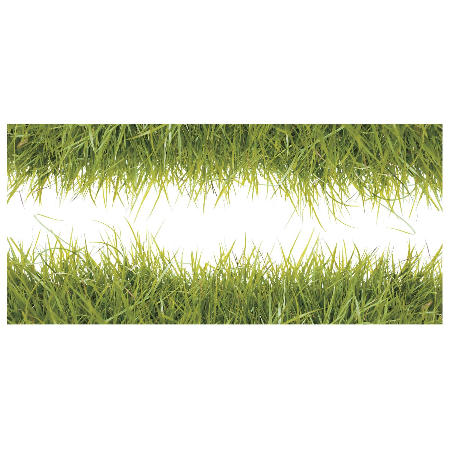 York Wallcoverings RoomMates Grass Giant Wall Decals Modern Botanical Greens Wallpaper - RMK3858GM (DISCONTINUED PATTERN)