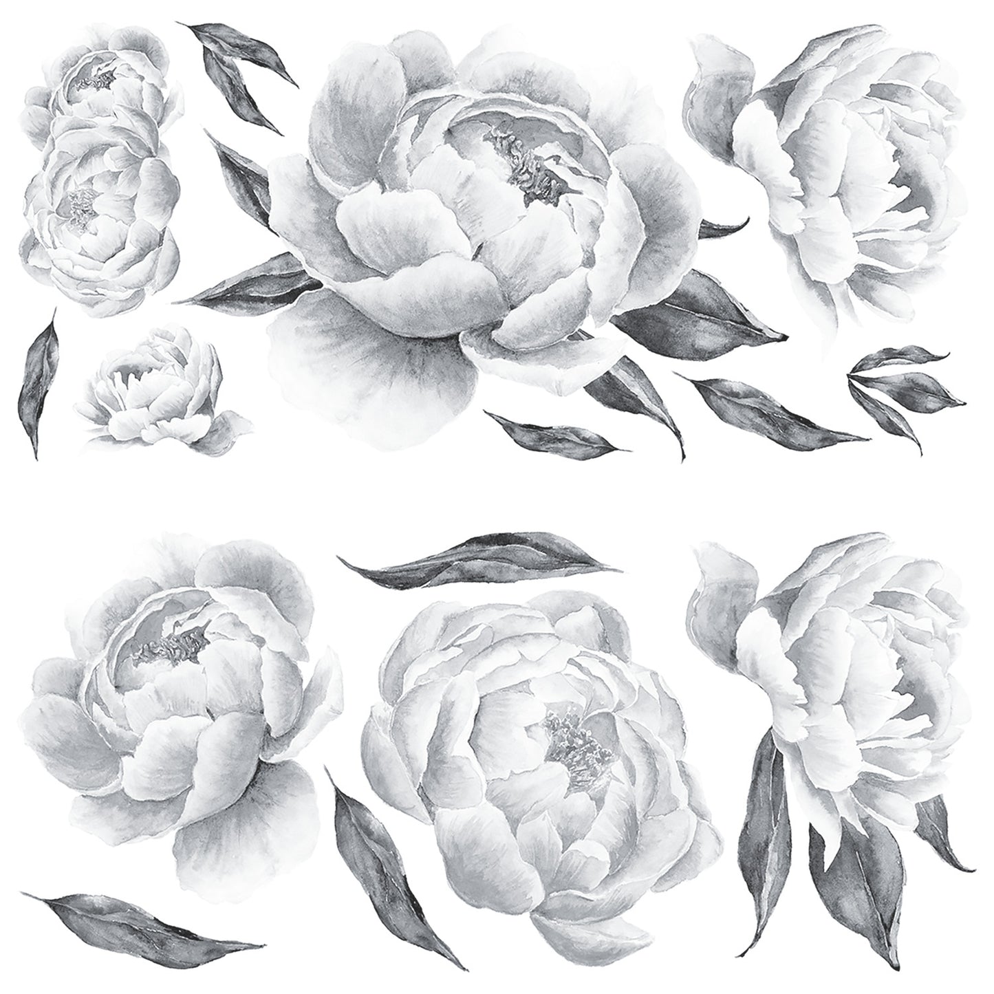 York Wallcoverings RoomMates Peonies Giant Wall Decals Traditional Botanical Blacks Wallpaper - RMK4413GM