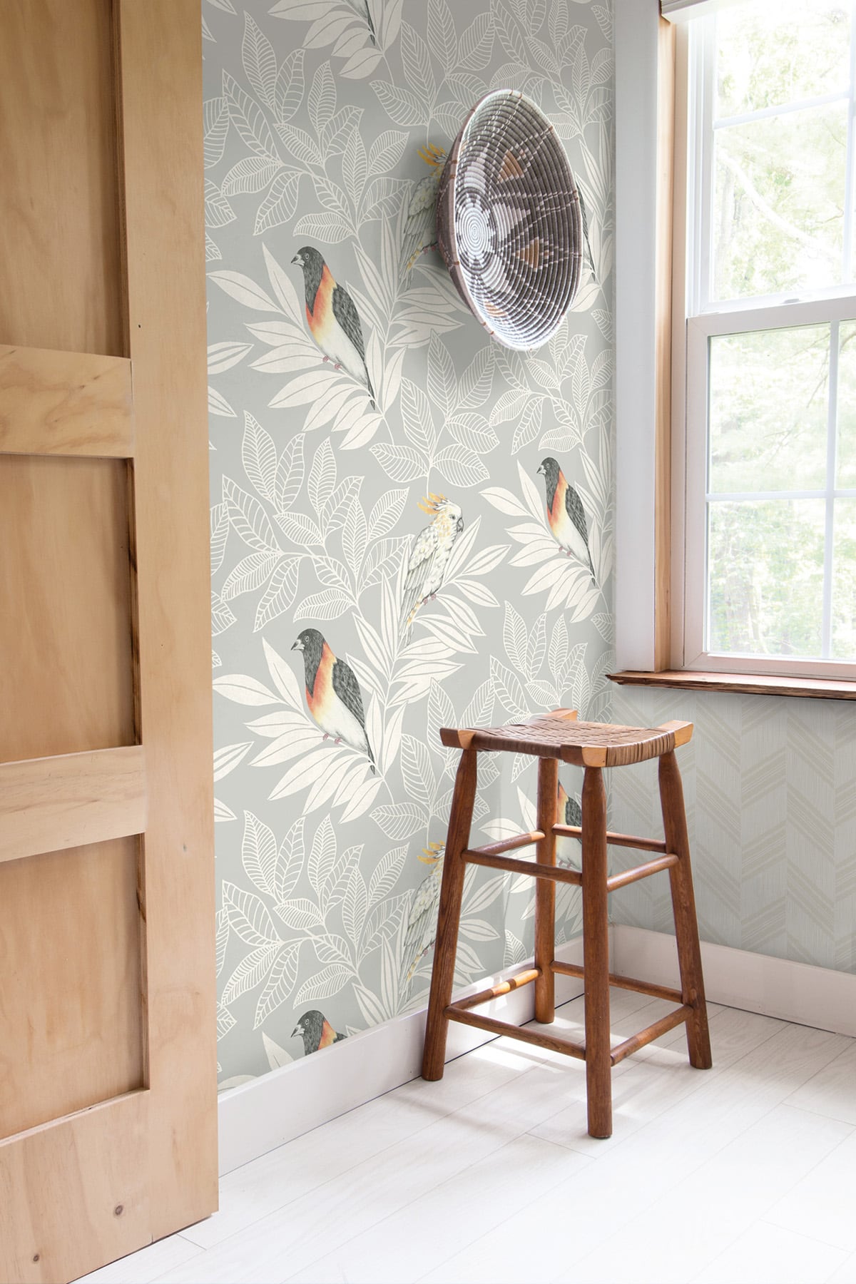 Seabrook Designs Boho Rhapsody Paradise Island Birds Animal Print Bohemian Grey Matte - RY30100