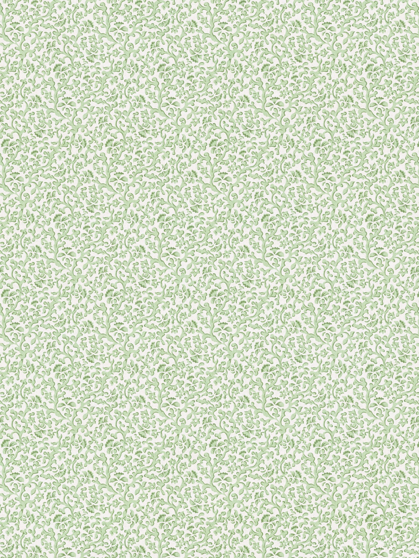 SCALAMANDRE BANDBOX PRINT MEADOW - SC166680001