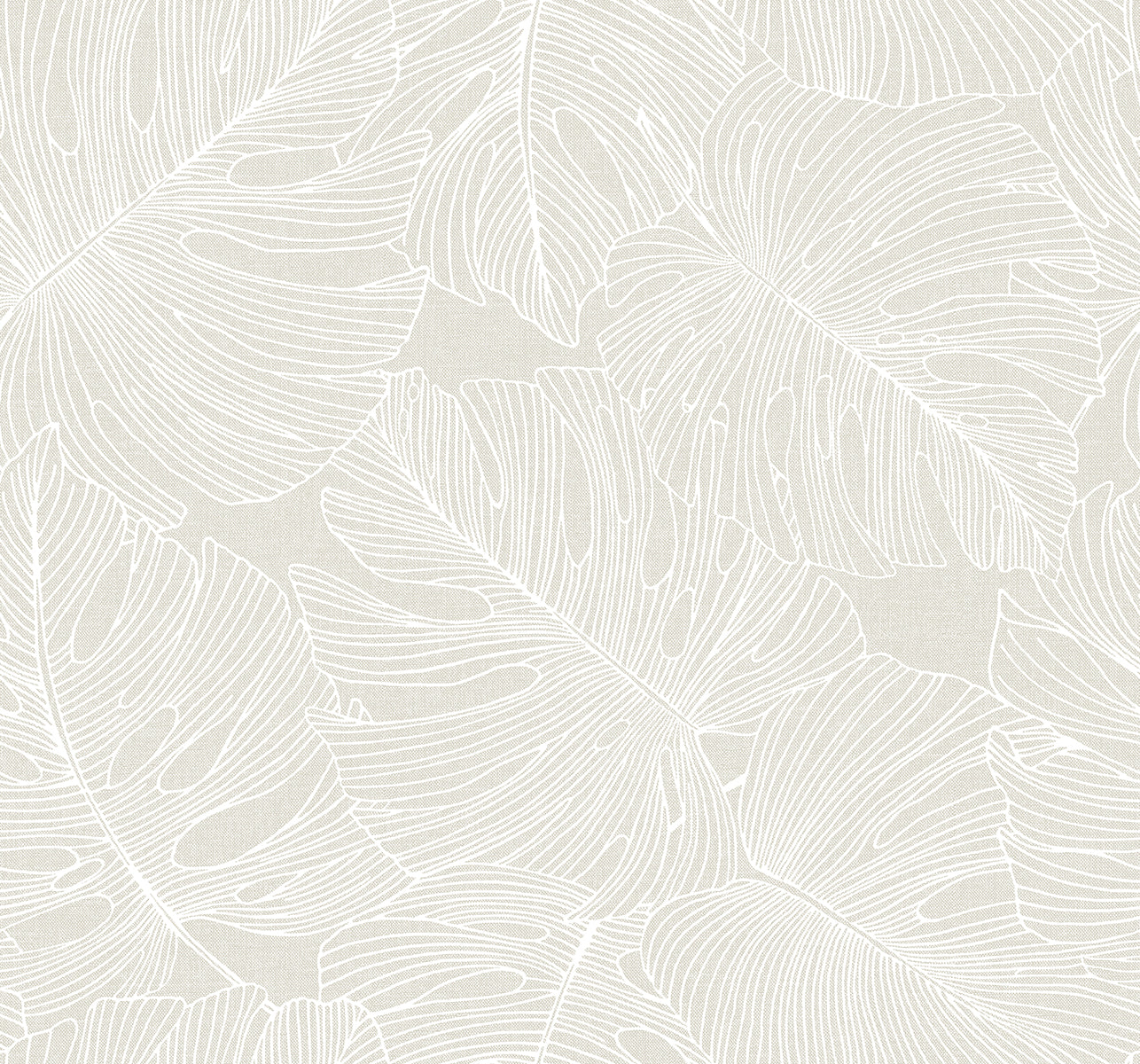 Beige matte backdrop with white line-drawn monstera leaves; botanical tropical design suitable for wallpaper or fabric.