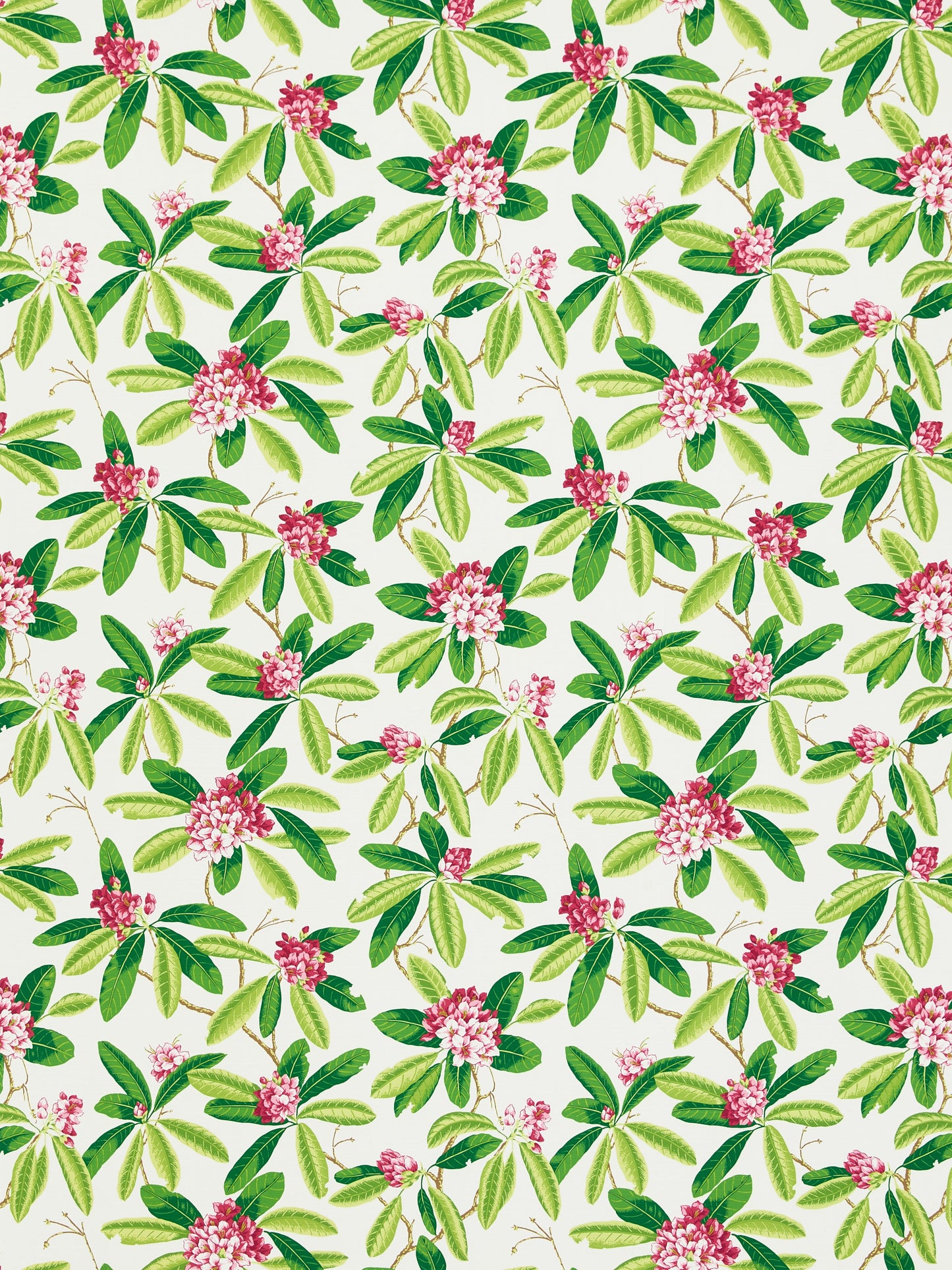 SCALAMANDRE RHODODENDRON - OUTDOOR FABRIC FUSCHIA - SC 000116454M NEW SKU # SC16454M0001