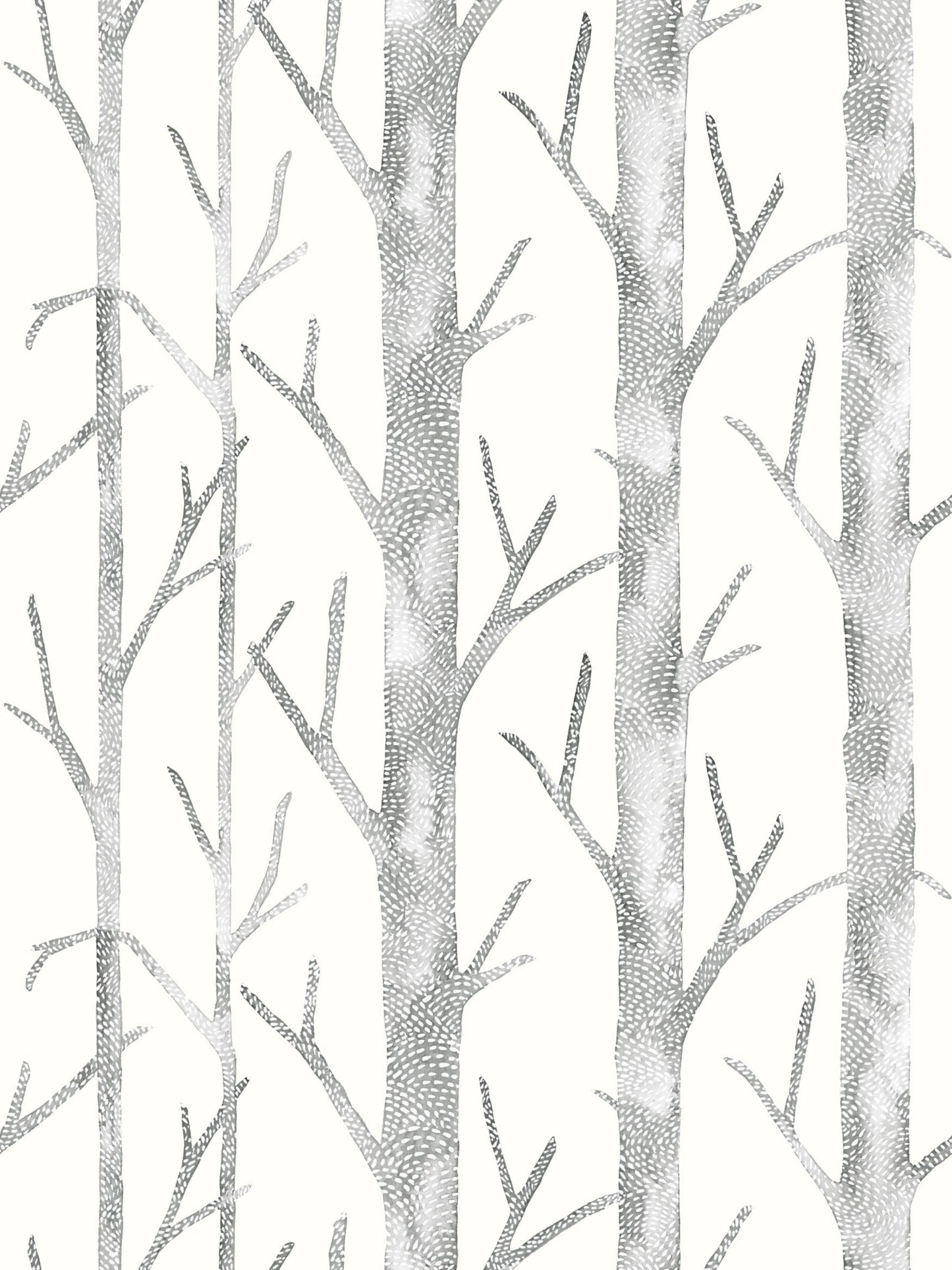 Gray-scale birch tree pattern wallpaper with tall trunks and slender branches on a white background
