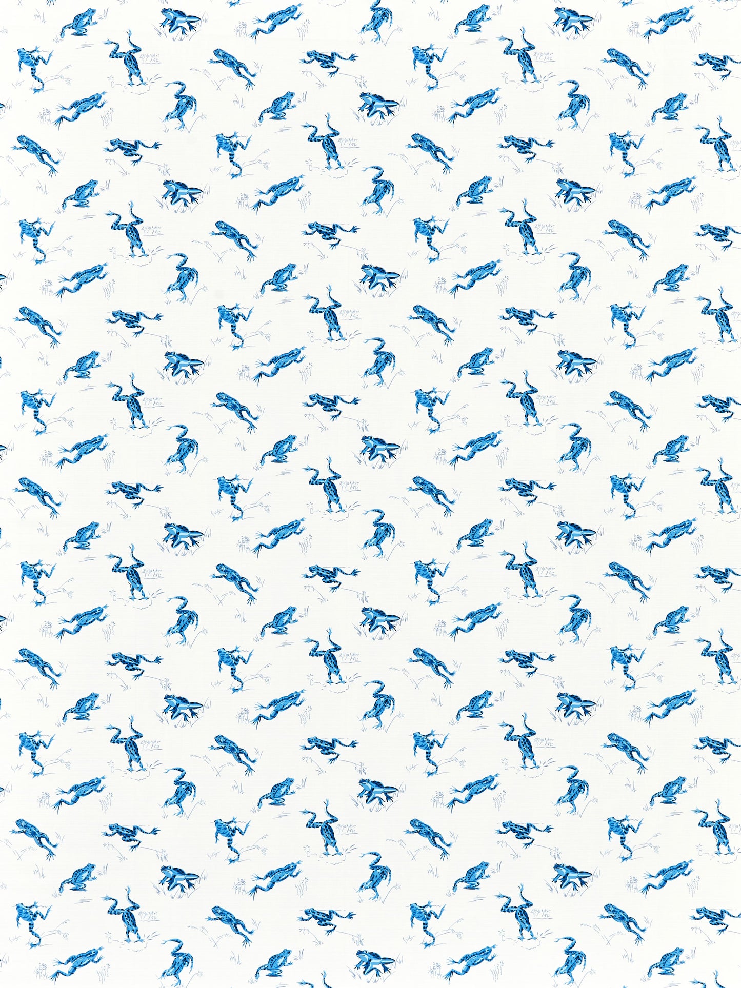 SCALAMANDRE CALABASAS COUNTY - OUTDOOR FABRIC CREEK - SC 000216426M NEW SKU # SC16426M0002