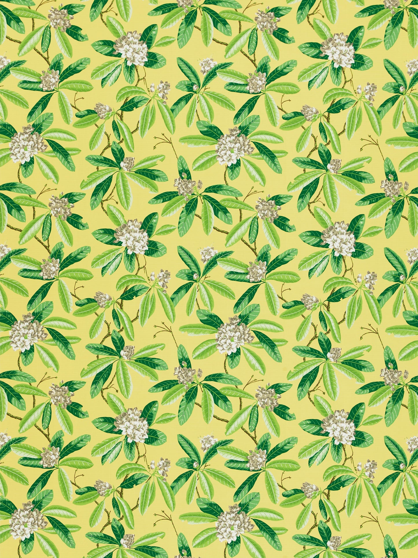 SCALAMANDRE RHODODENDRON - OUTDOOR FABRIC PINEAPPLE - SC 000216454M NEW SKU # SC16454M0002