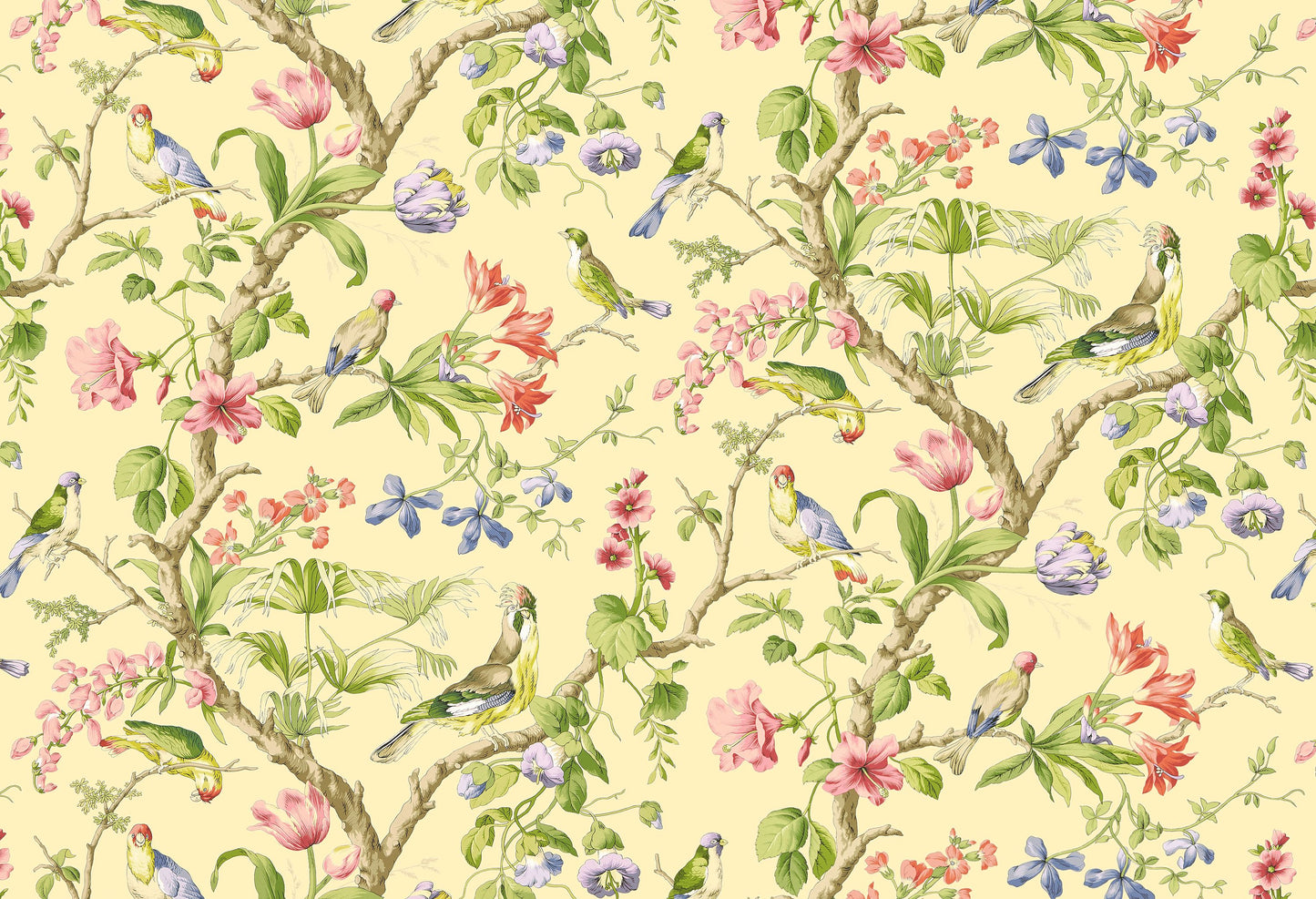 SCALAMANDRE BELIZE BIRD , ANIMAL
BOTANICAL , FOLIAGE
FLORAL SUNLIT - SC 0002WP88381 NEW SKU # SCWP883810002