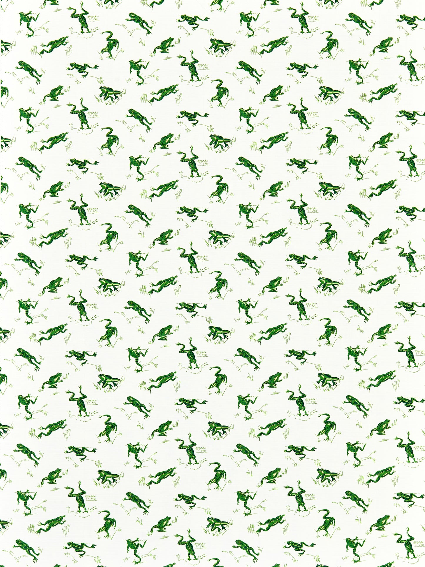 SCALAMANDRE CALABASAS COUNTY - OUTDOOR FABRIC SNAP PEA - SC 000316426M NEW SKU # SC16426M0003