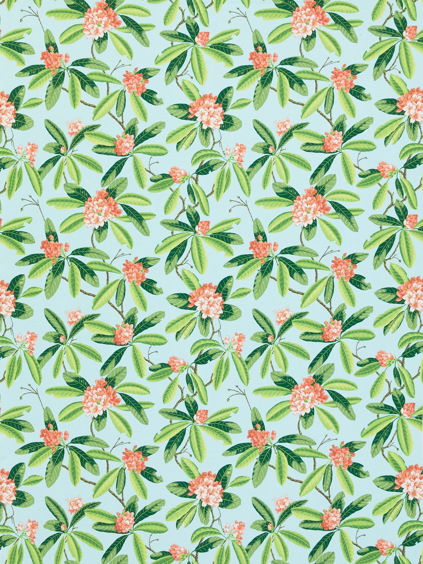 SCALAMANDRE RHODODENDRON - OUTDOOR FABRIC CORAL ON AQUA - SC 000316454M NEW SKU # SC16454M0003