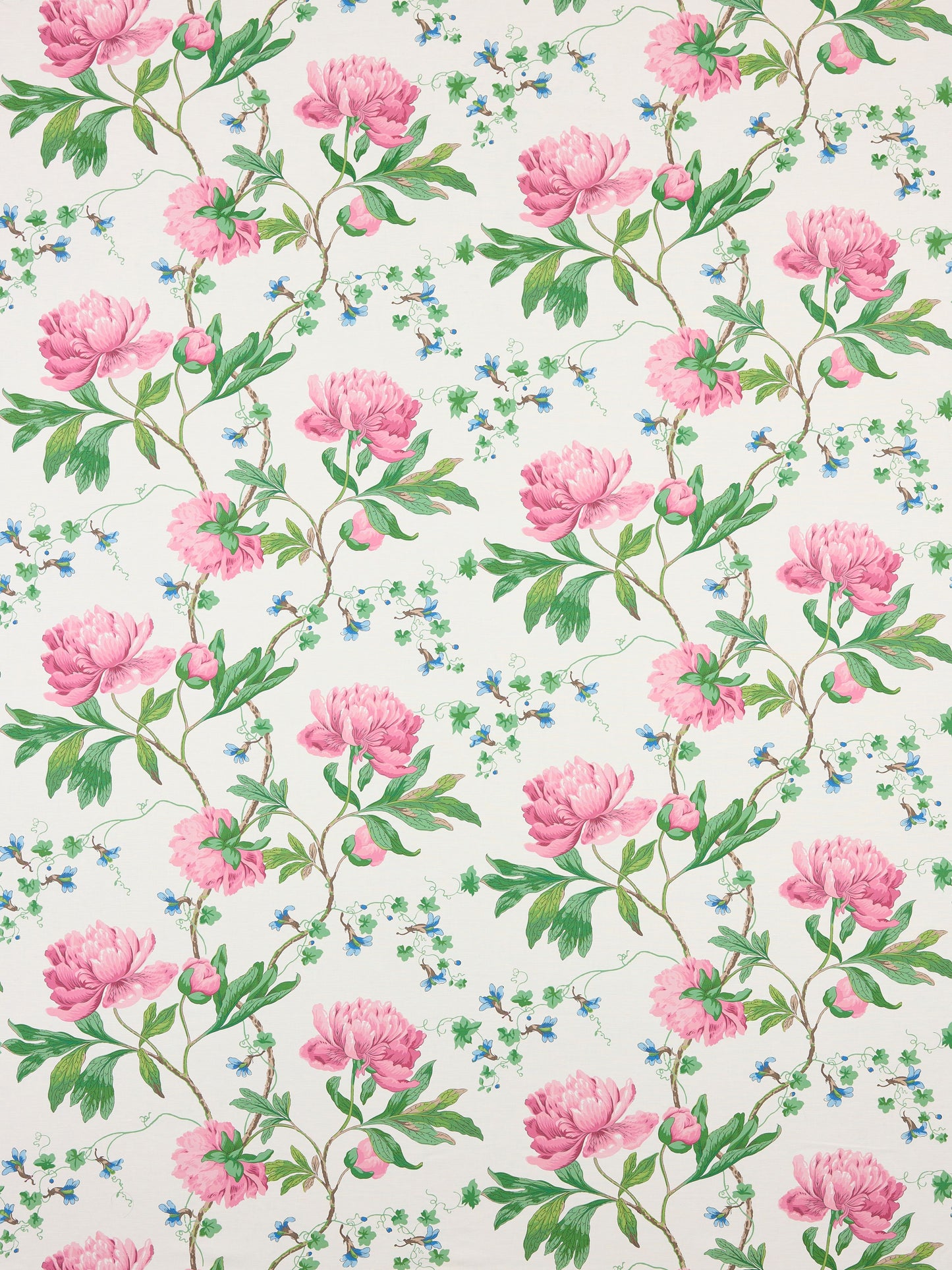 SCALAMANDRE ISADORA PRINT FABRIC PETAL - SC 000316650 NEW SKU # SC166500003