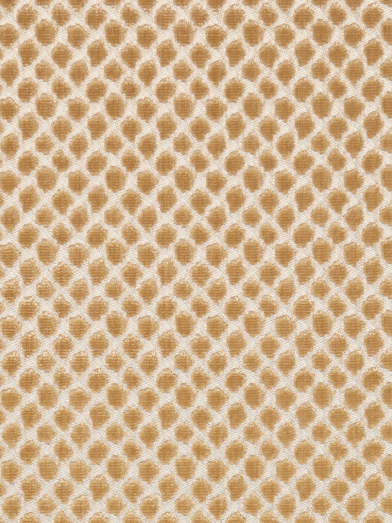 SCALAMANDRE ETOSHA VELVET FABRIC PALOMINO - SC 000327022 NEW SKU # SC270220003