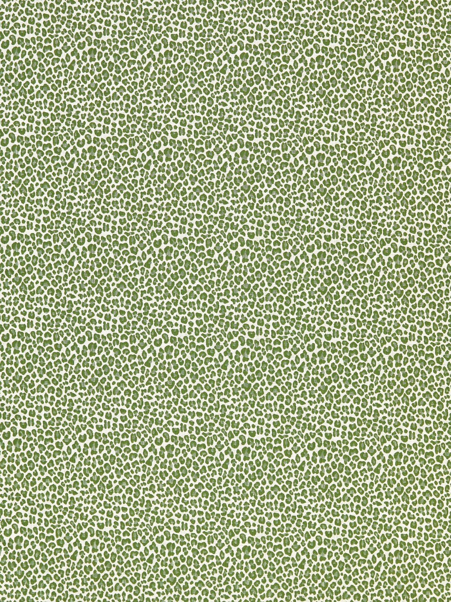 SCALAMANDRE BACKYARD BENGAL FABRIC IVY - SC 000327316 NEW SKU # SC273160003