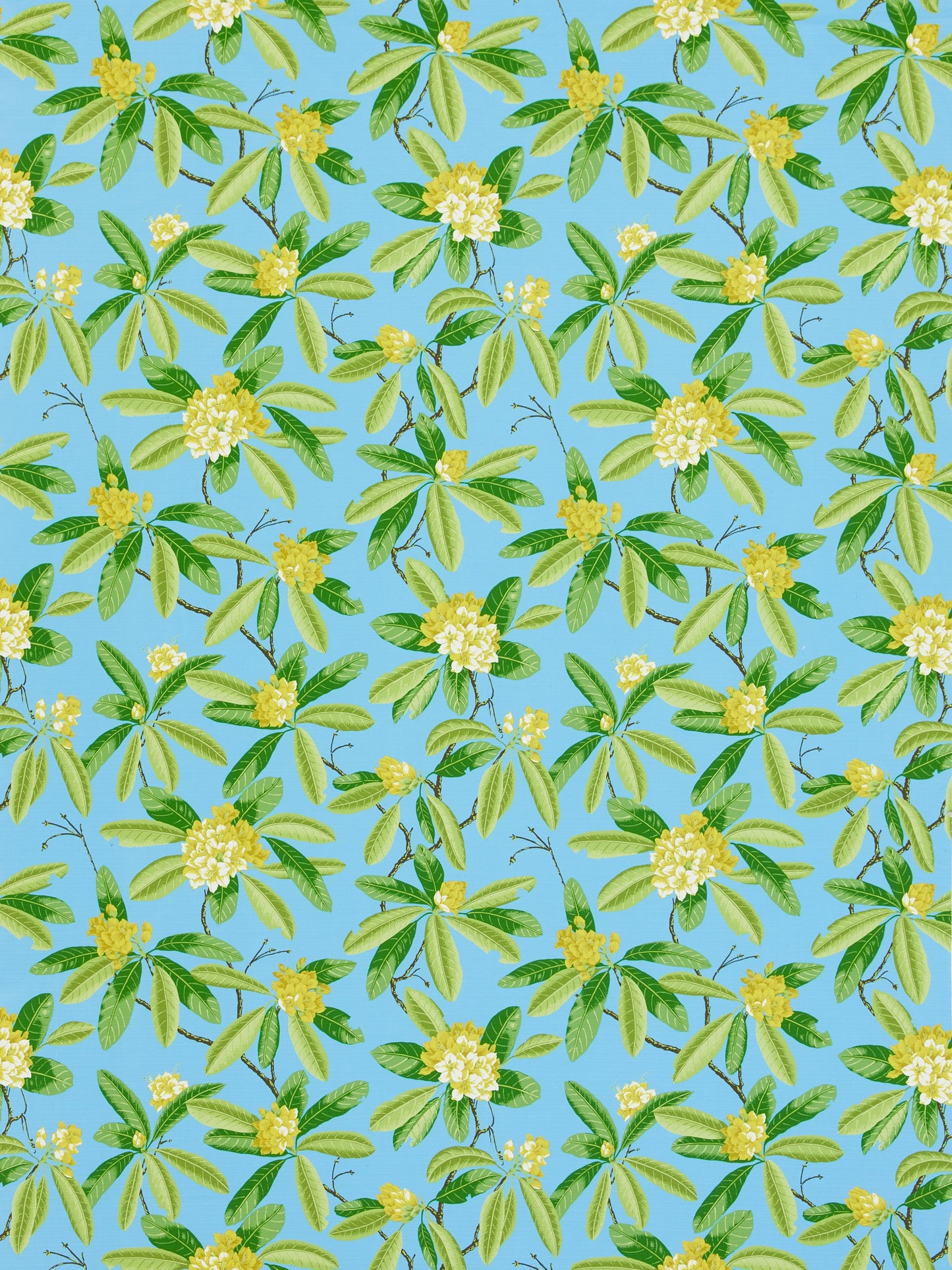 SCALAMANDRE RHODODENDRON - OUTDOOR FABRIC CAROLINA - SC 000416454M NEW SKU # SC16454M0004