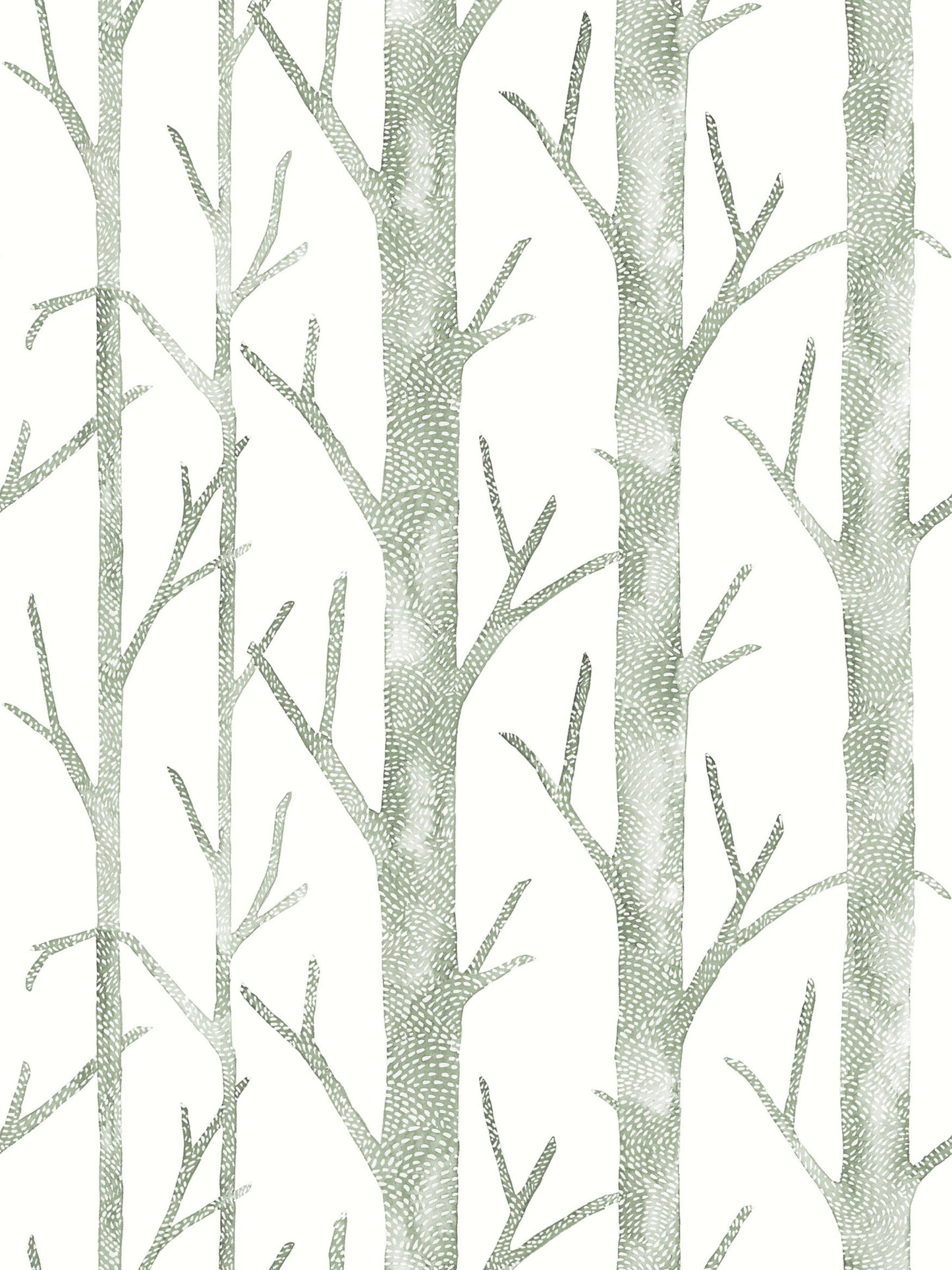 Pale green birch tree pattern wallpaper with slender trunks and branching limbs on white background.