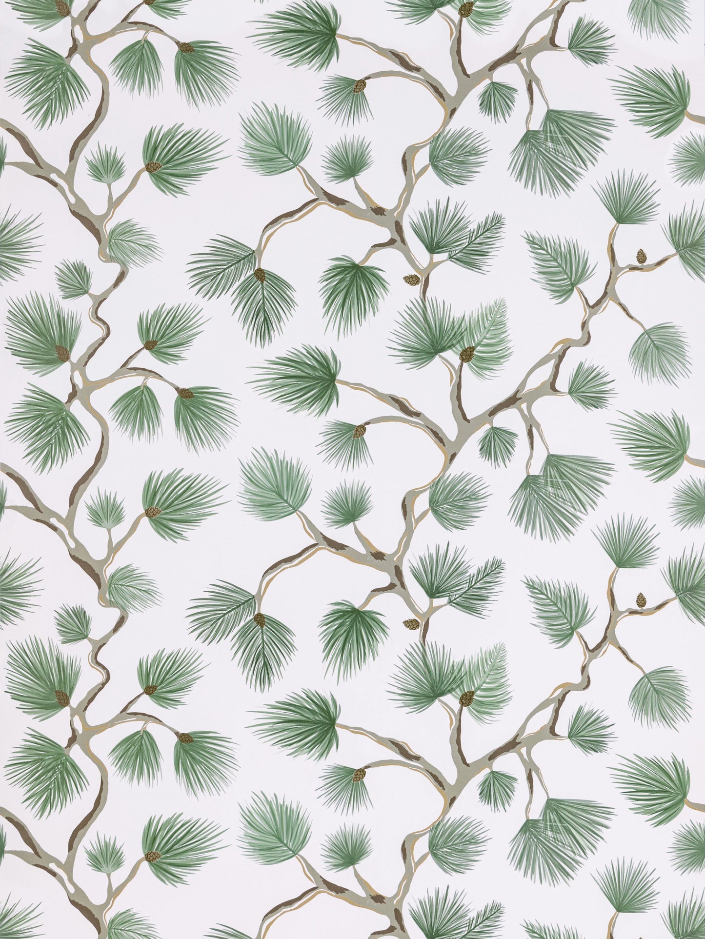 SCALAMANDRE PIGNOLI WALLCOVERING BOTANICAL , FOLIAGE FERN - SC 0005WP88593D NEW SKU # SCWP88593D0005