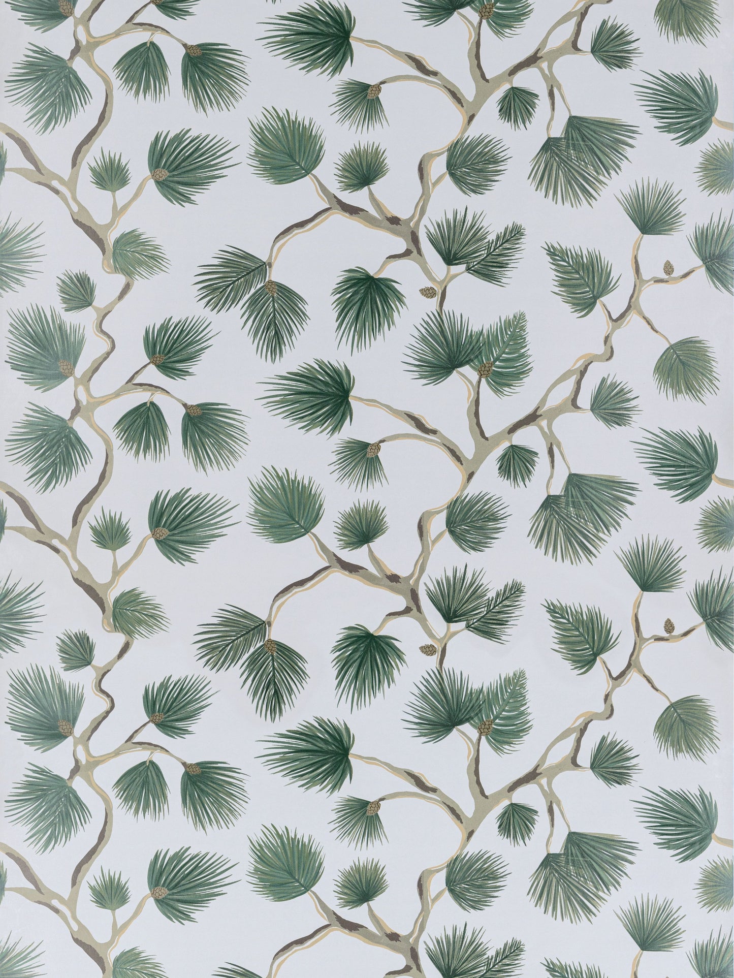 SCALAMANDRE PIGNOLI WALLCOVERING BOTANICAL , FOLIAGE EVERGREEN - SC 0006WP88593D NEW SKU # SCWP88593D0006