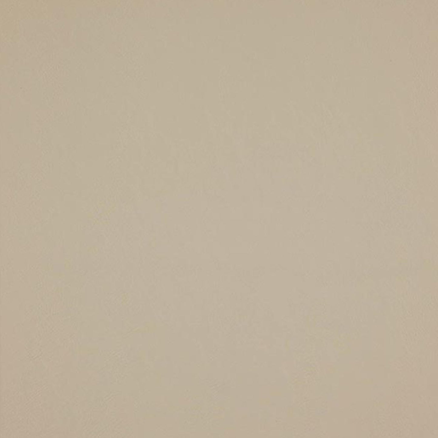 JF Fabrics SIMPLICITY 31 Fabric Traditional,Transitional,Contemporary,Plain Creme/Beige Faux Leather,Texture - 5841131 J7361