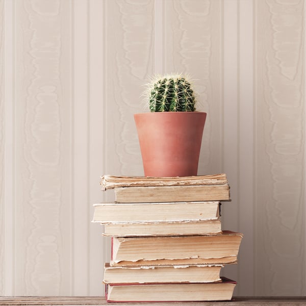 Pink striped wallpaper on a pale wall