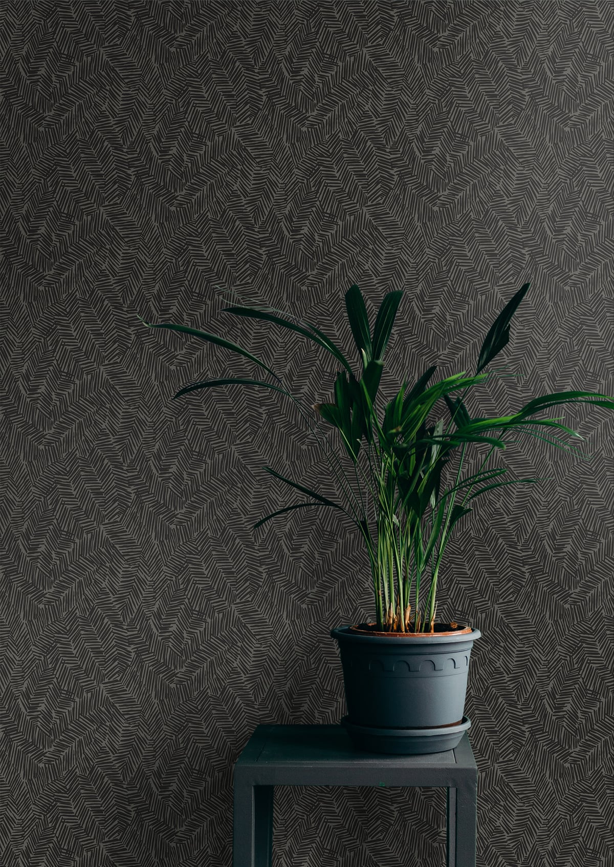 Seabrook Designs The Simple Life Lush Abstract Contemporary Black Matte - SL80410