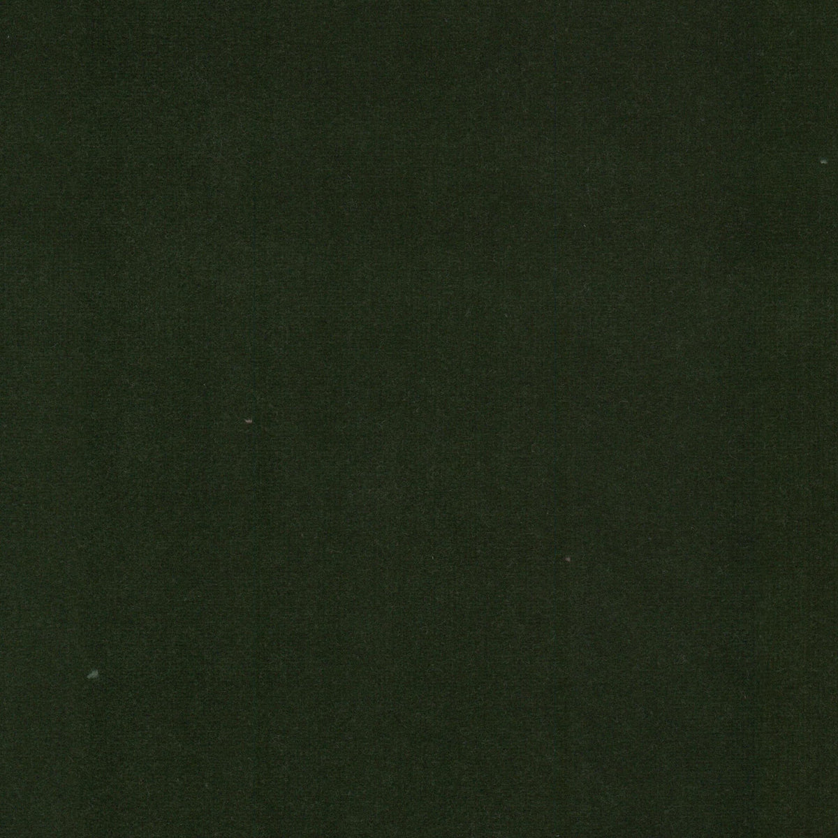 STOUT TEXTILES UPHOLSTERY,VELVET TRADITIONAL, SOLID JUNGLE - SPOC-7
