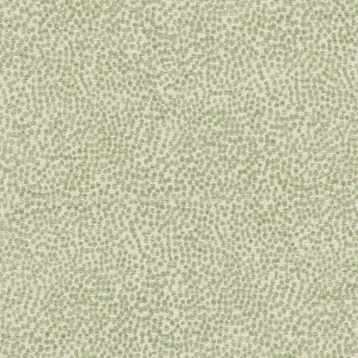STOUT TEXTILES UPHOLSTERY,CHENILLE TRADITIONAL, CIRCLE SEAFOAM,SEAMIST - SPOT-2