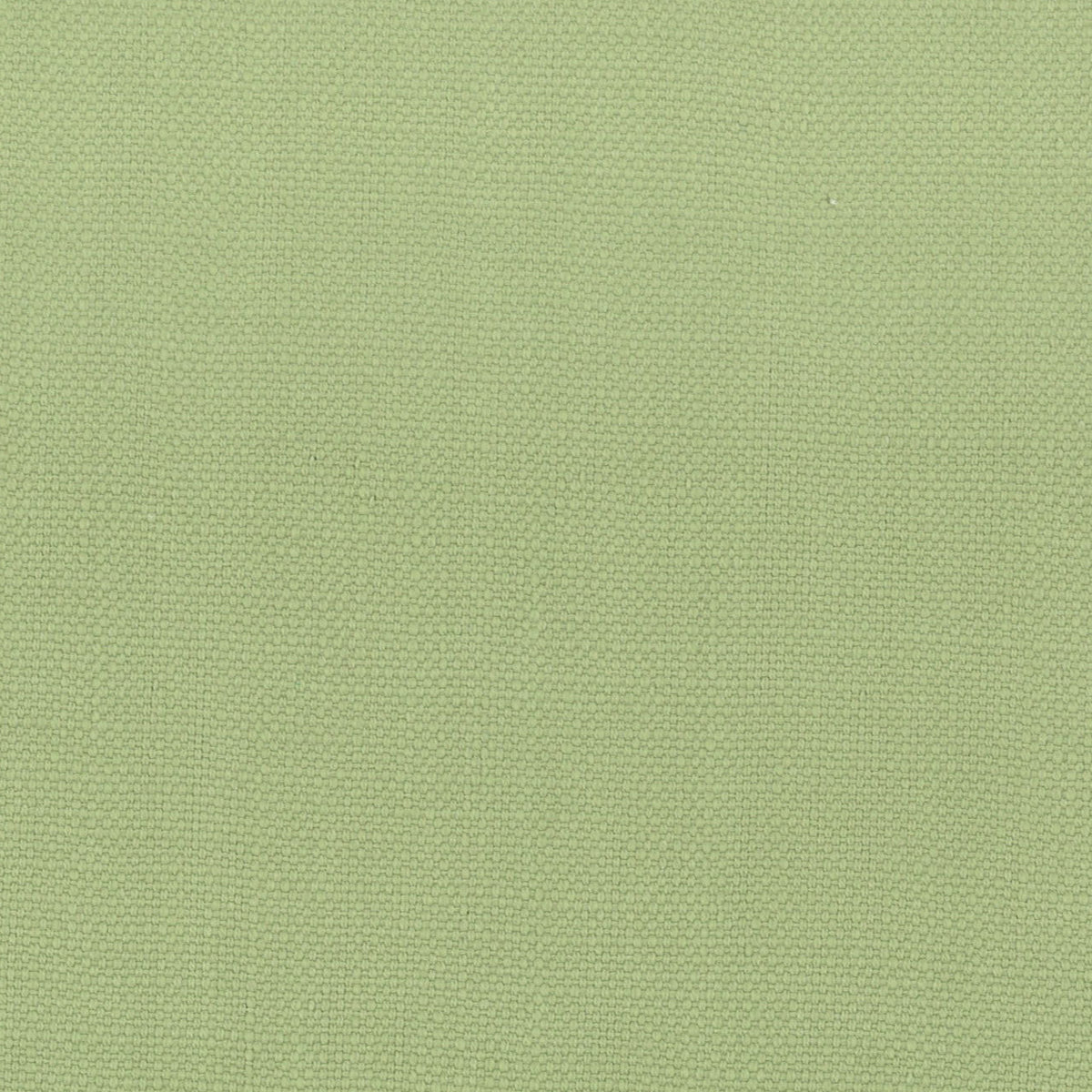 STOUT TEXTILES MULTIPURPOSE,TEXTURE TRADITIONAL, SOLID PEAR - STAN-22