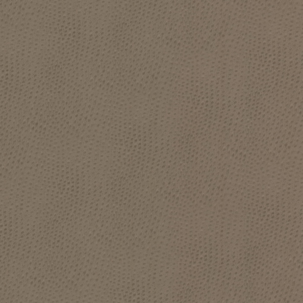 STOUT TEXTILES FAUX LEATHER TRADITIONAL, SOLID PUTTY - STEE-1