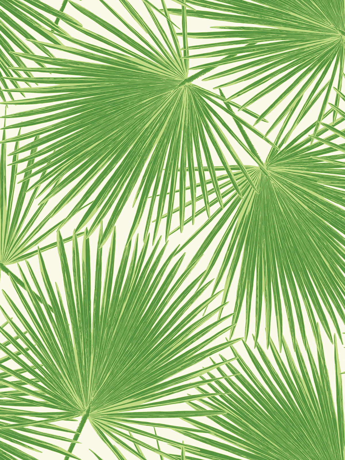 Seabrook Designs Aruba Palm Coastal Fern Green , White - TA20204
