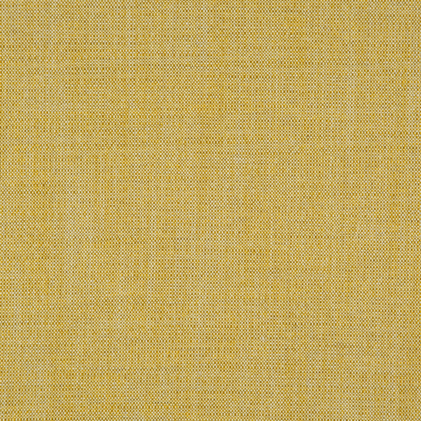 Mustard yellow woven fabric with a subtle tiny dotted texture.