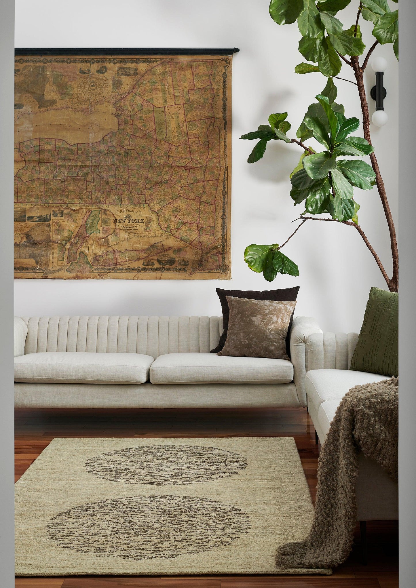 Living room with vintage map wall art, cream sofa, green plant, and beige rug with circular patterns.