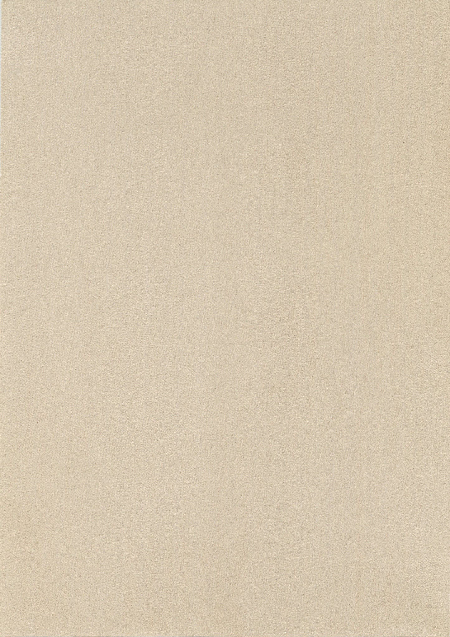 NICHOLASJOHN INC. Natural - Textured Wallcoverings SUEDE - NJ25TF1501