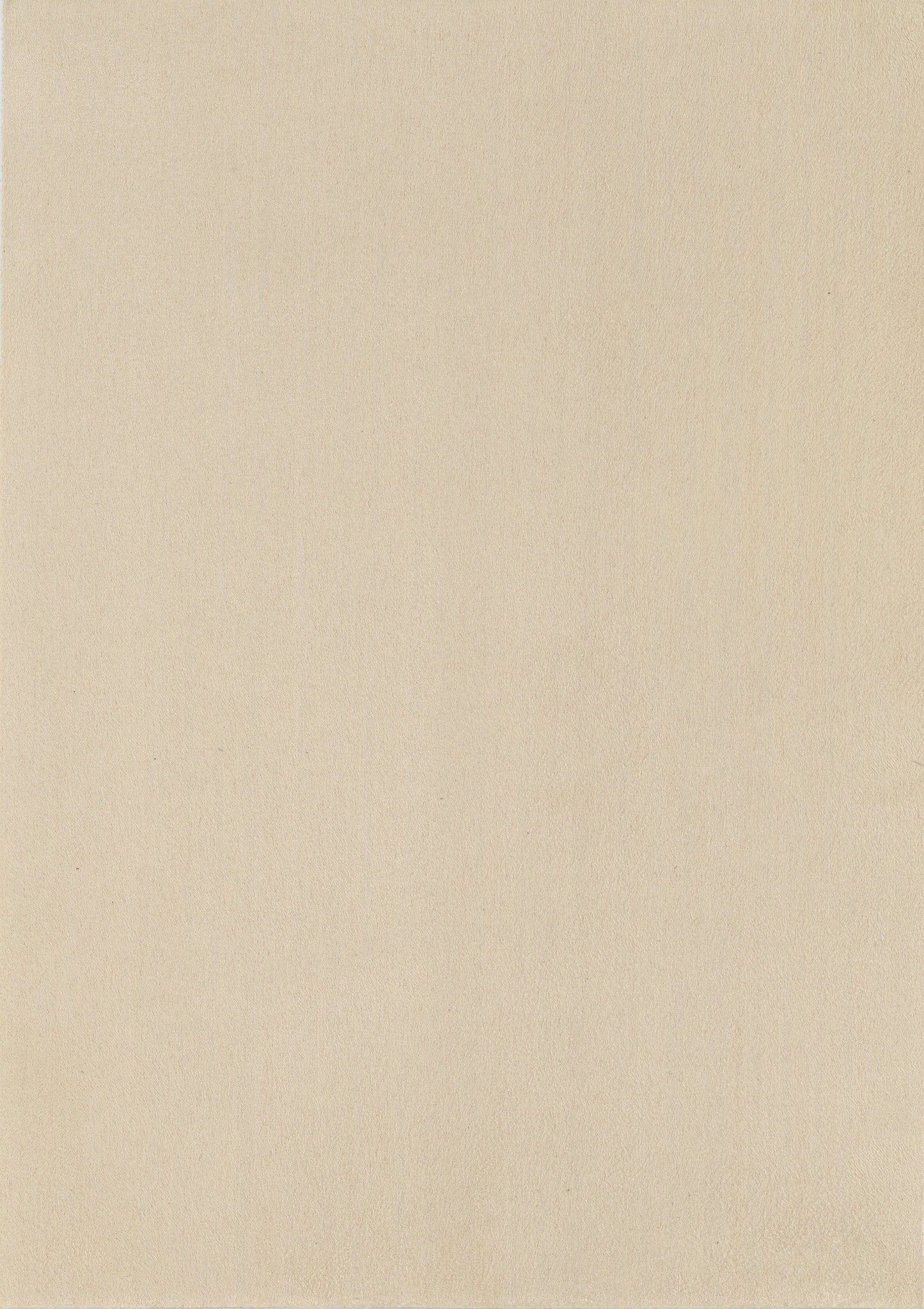 Rectangular beige textured fabric swatch with fine weave.