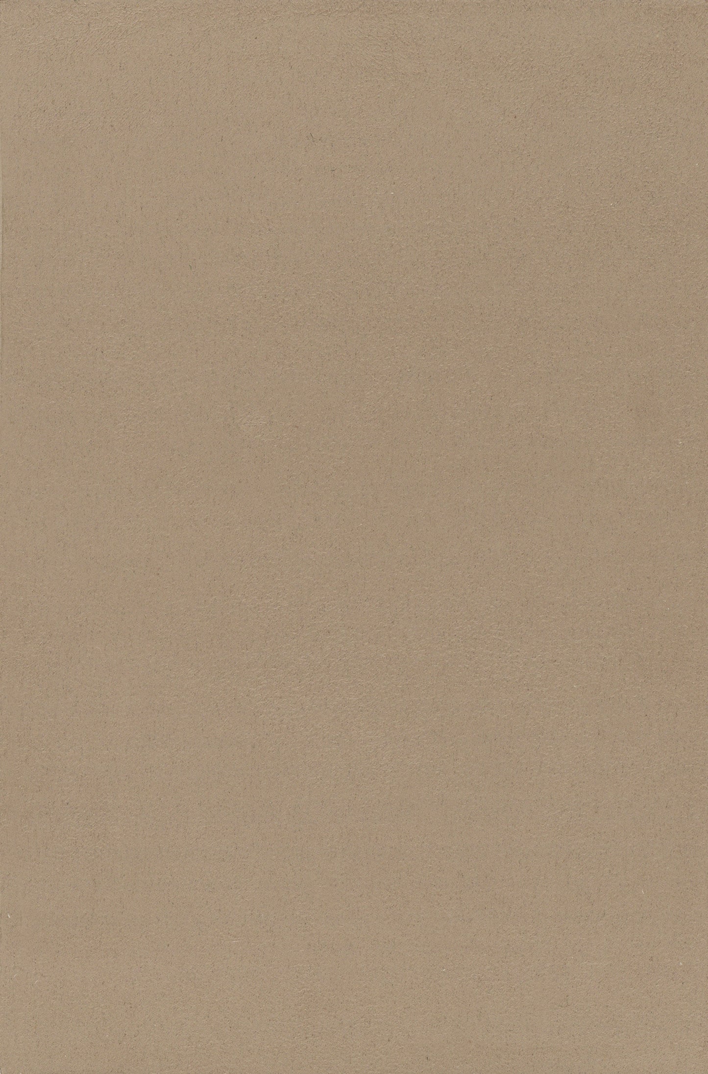 NICHOLASJOHN INC. Natural - Textured Wallcoverings SUEDE - NJ25TF1503