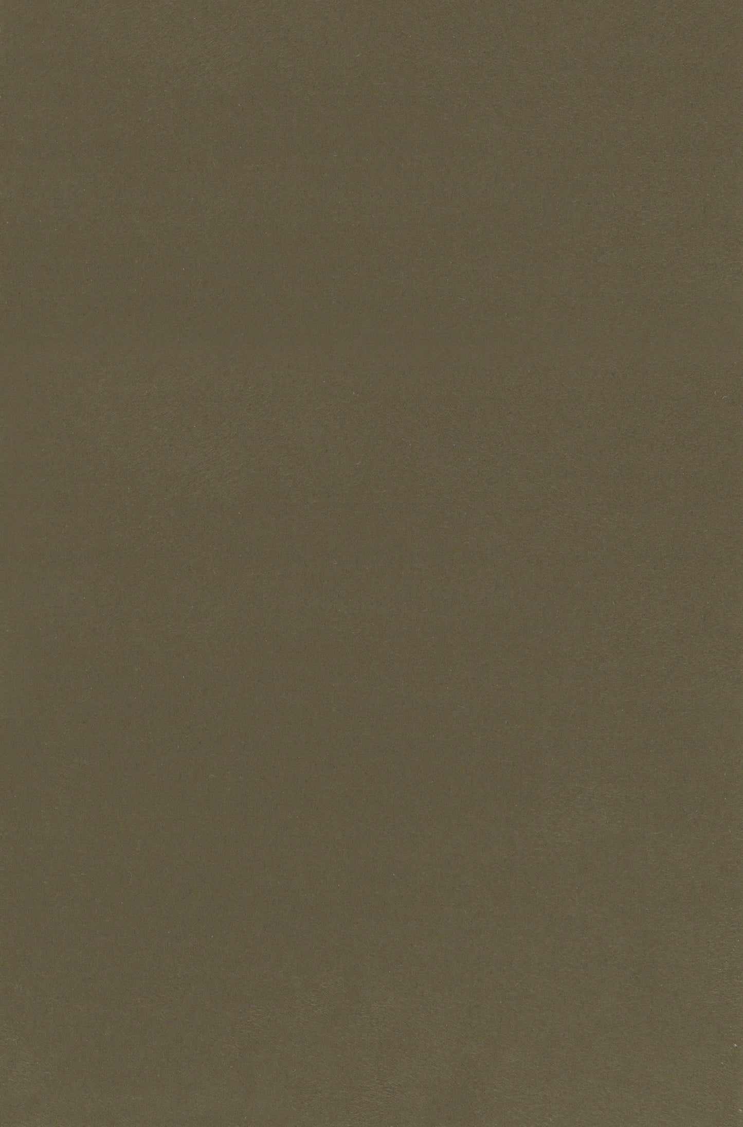 NICHOLASJOHN INC. Natural - Textured Wallcoverings SUEDE - NJ25TF1505