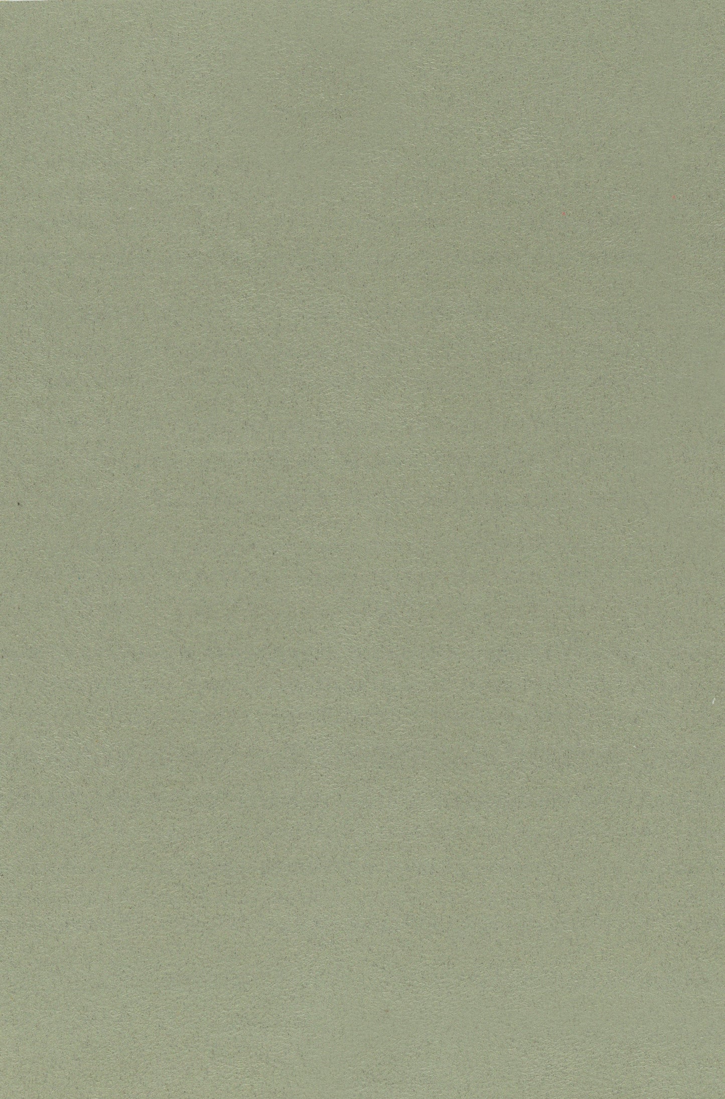 NICHOLASJOHN INC. Natural - Textured Wallcoverings SUEDE - NJ25TF1506