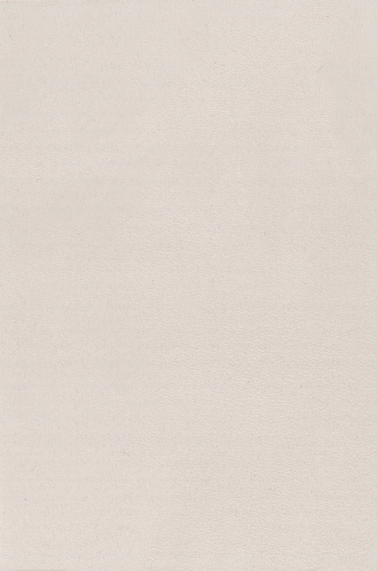 NICHOLASJOHN INC. Natural - Textured Wallcoverings 100%Polyester - NJ25TF1510