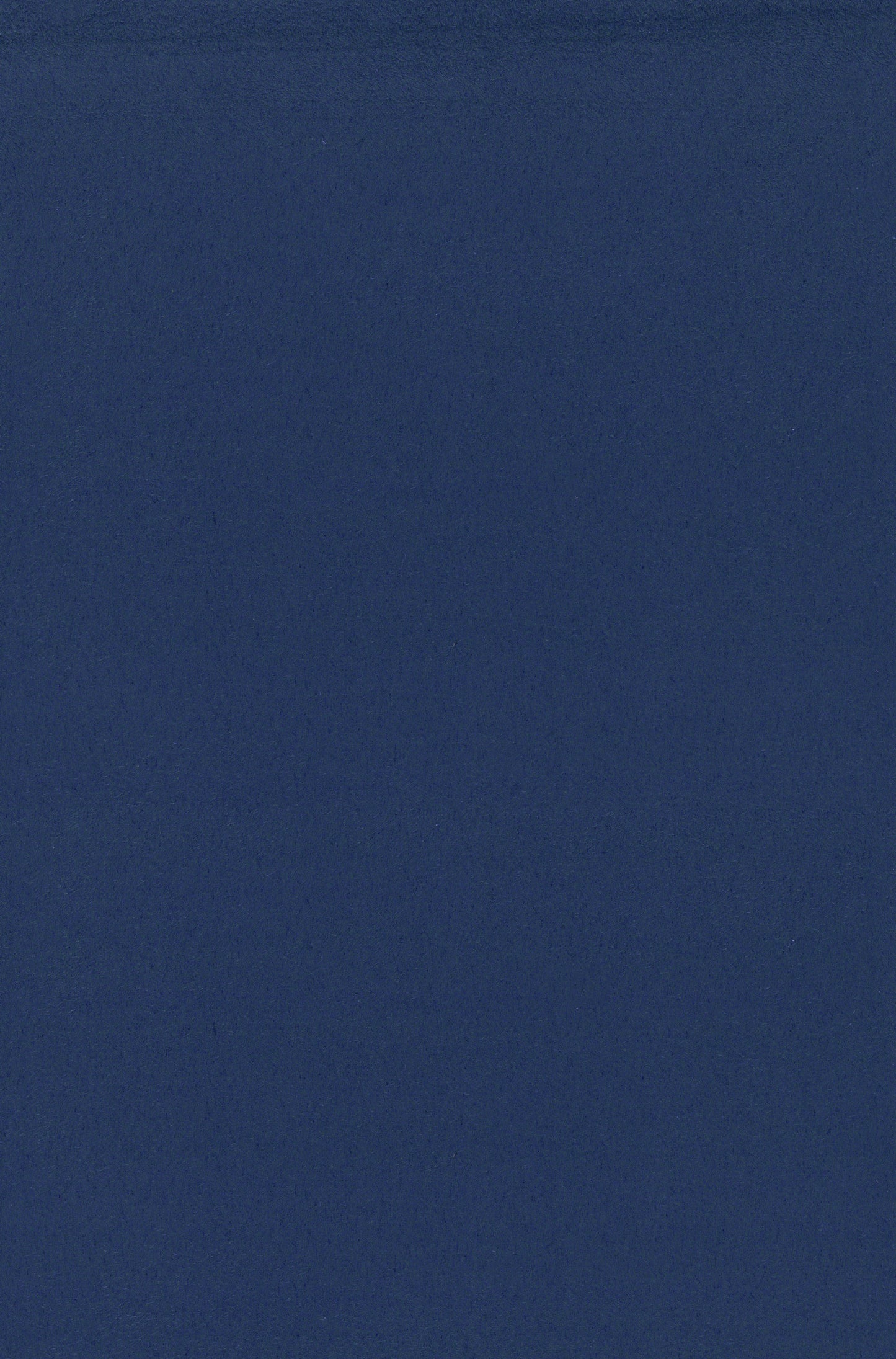 NICHOLASJOHN INC. Natural - Textured Wallcoverings SUEDE - NJ25TF1530