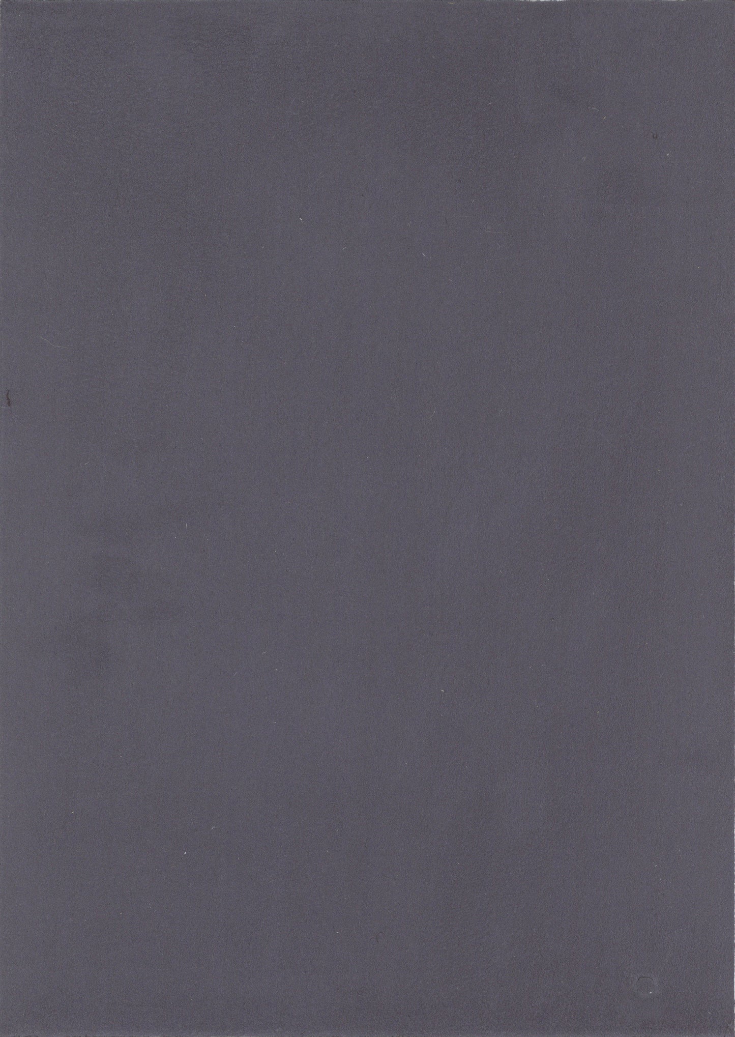 NICHOLASJOHN INC. Natural - Textured Wallcoverings SUEDE - NJ25TF1531