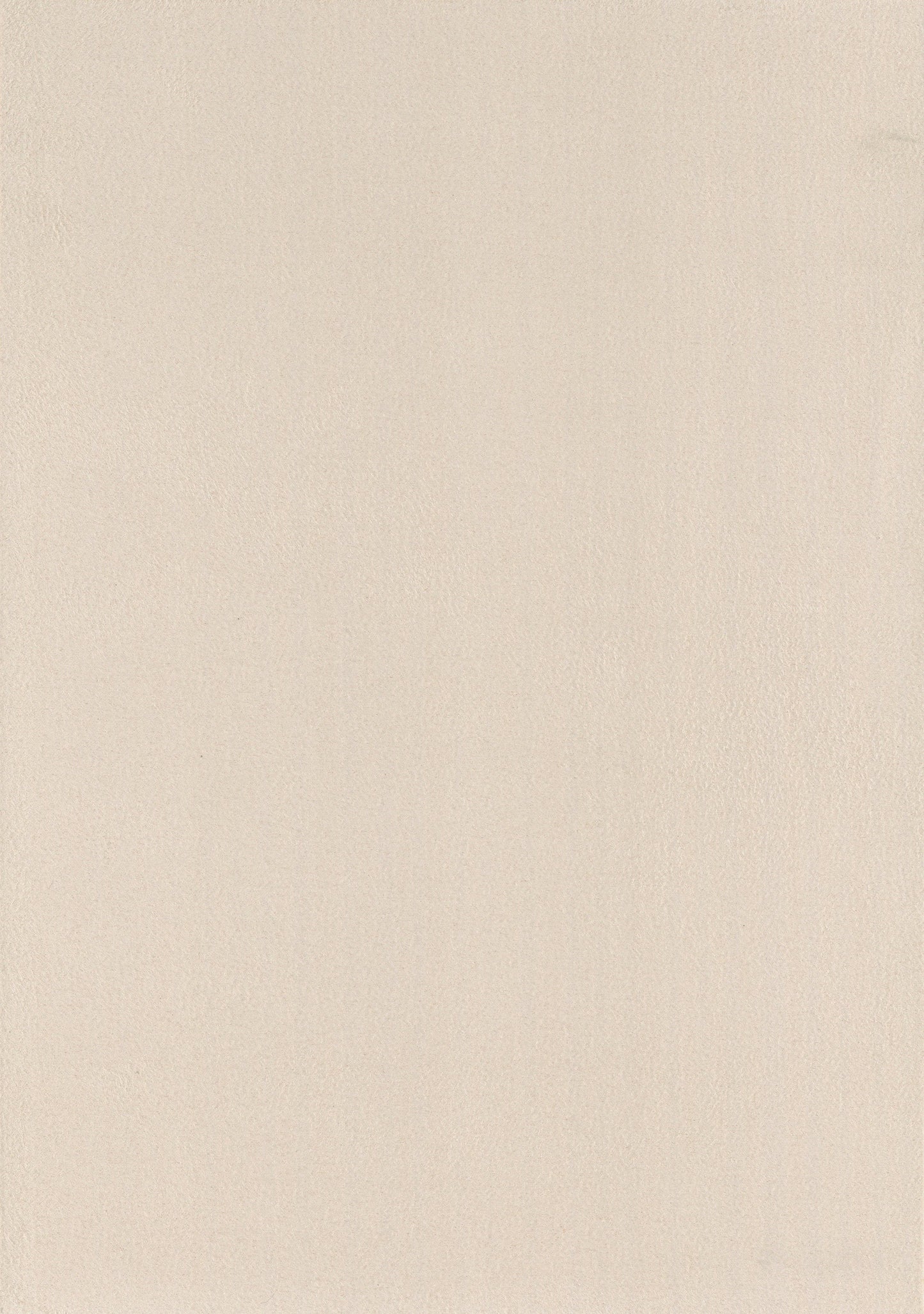 NICHOLASJOHN INC. Natural - Textured Wallcoverings 100%Polyester - NJ25TF1537