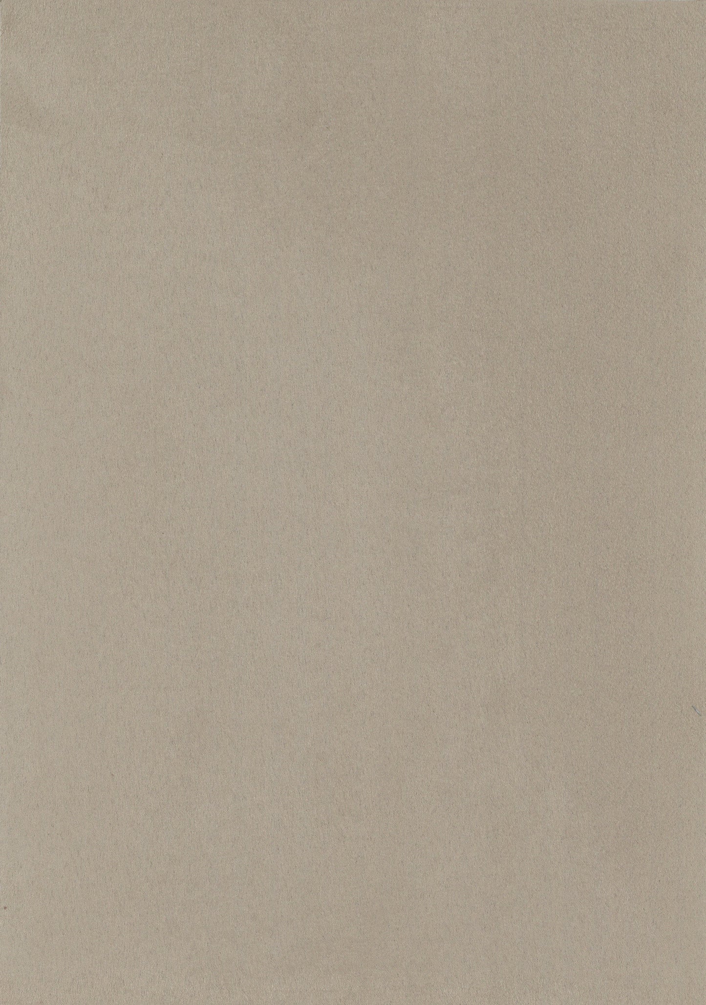 NICHOLASJOHN INC. Natural - Textured Wallcoverings SUEDE - NJ25TF1543